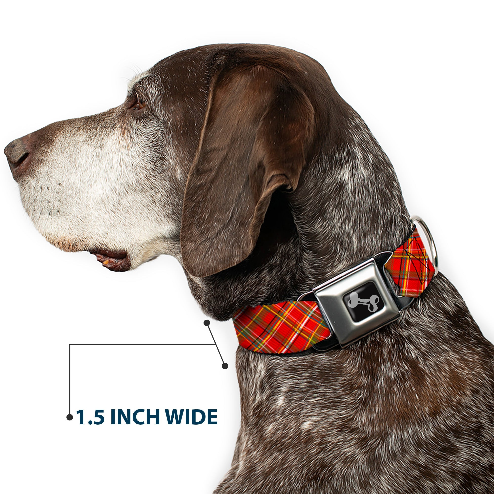 Buckle-Down Tartan Plaid2 Red/Green/Yellow Seatbelt Buckle Dog Collar