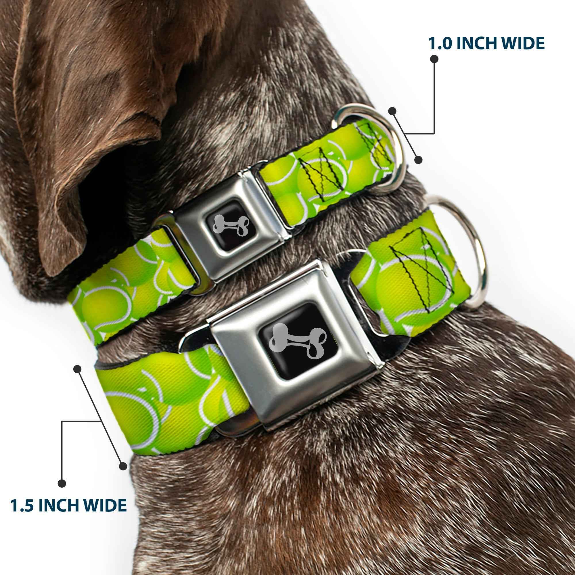 Buckle-Down Dog Bone Black/Silver Seatbelt Buckle Dog Collar - Tennis Balls Stacked