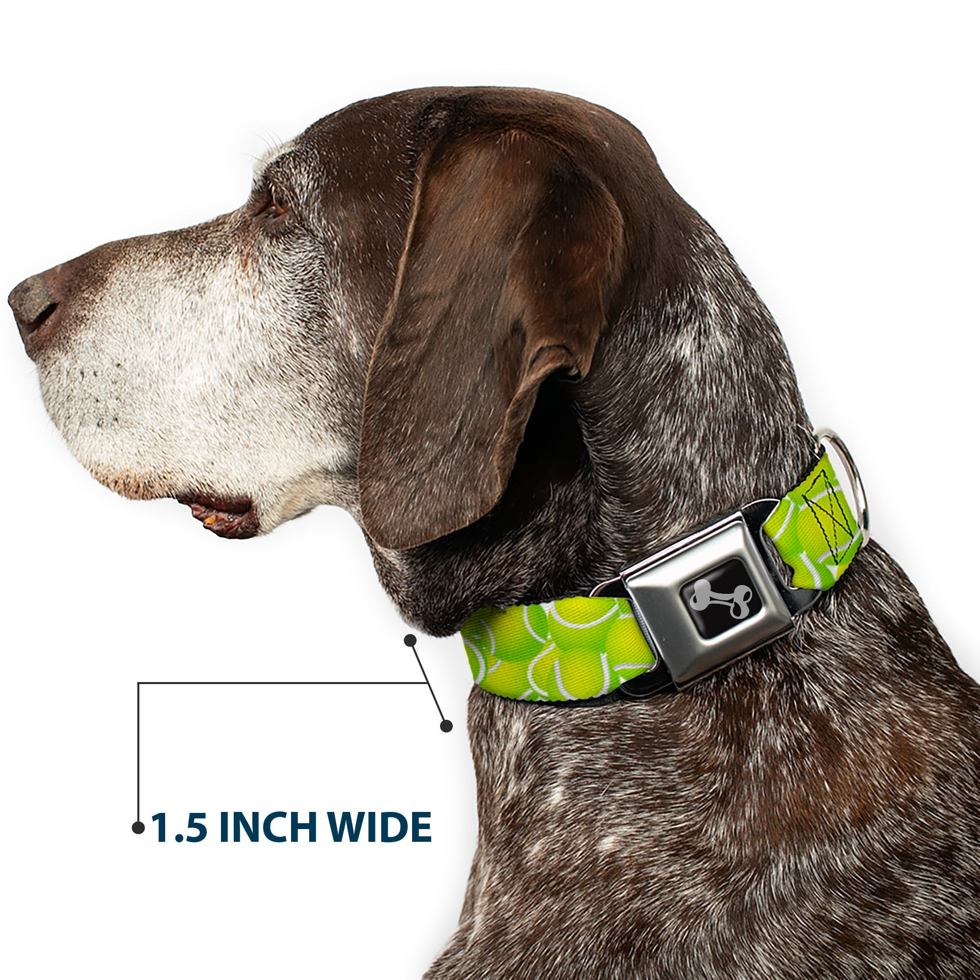Buckle-Down Dog Bone Black/Silver Seatbelt Buckle Dog Collar - Tennis Balls Stacked
