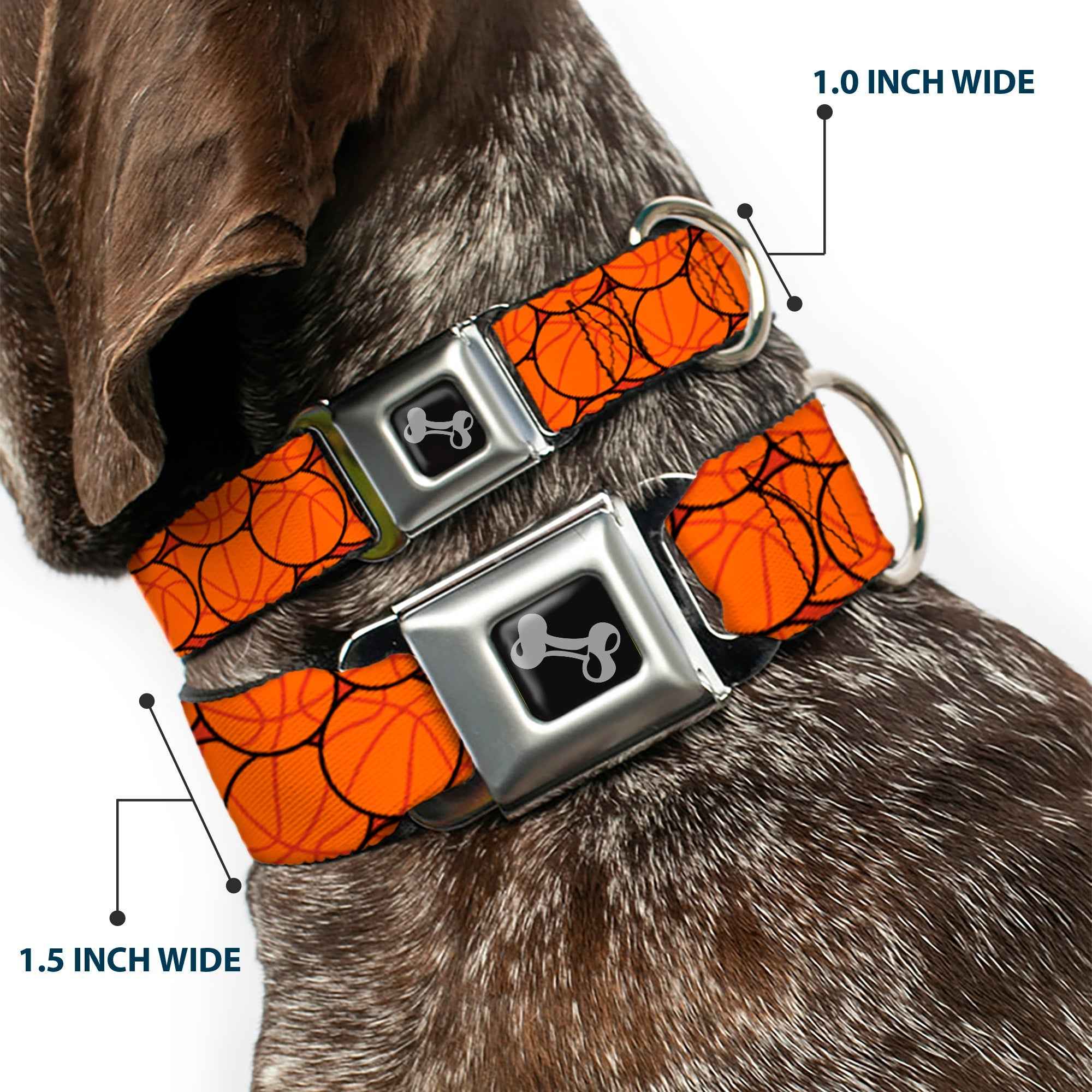 Buckle-Down Dog Bone Black/Silver Seatbelt Buckle Dog Collar - Basketballs Stacked