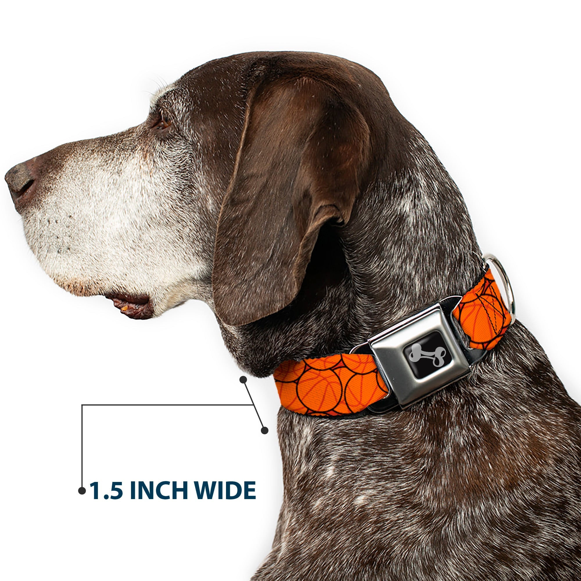 Buckle-Down Dog Bone Black/Silver Seatbelt Buckle Dog Collar - Basketballs Stacked