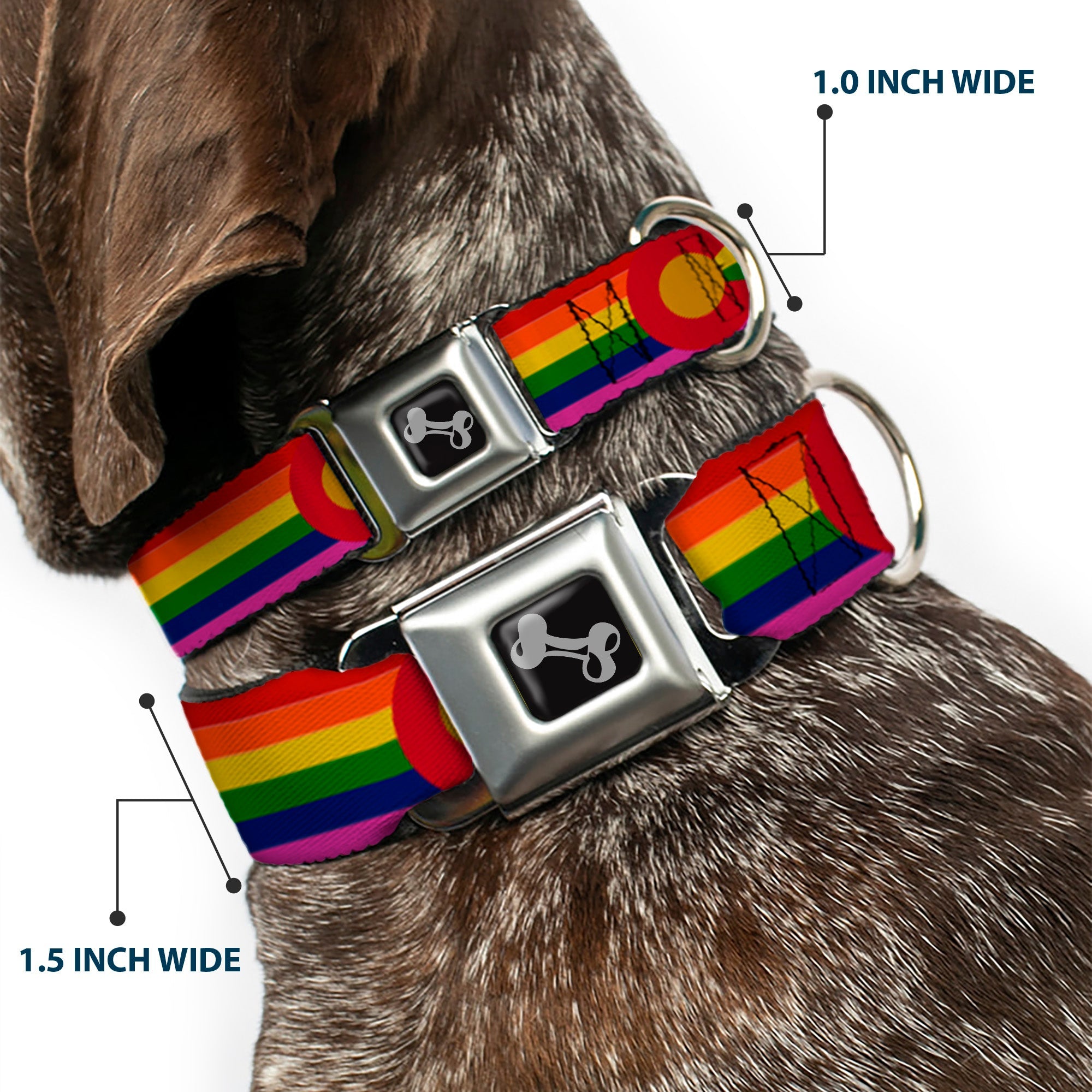 Dog Bone Seatbelt Buckle Collar - Colorado Flags2 Pride Vintage