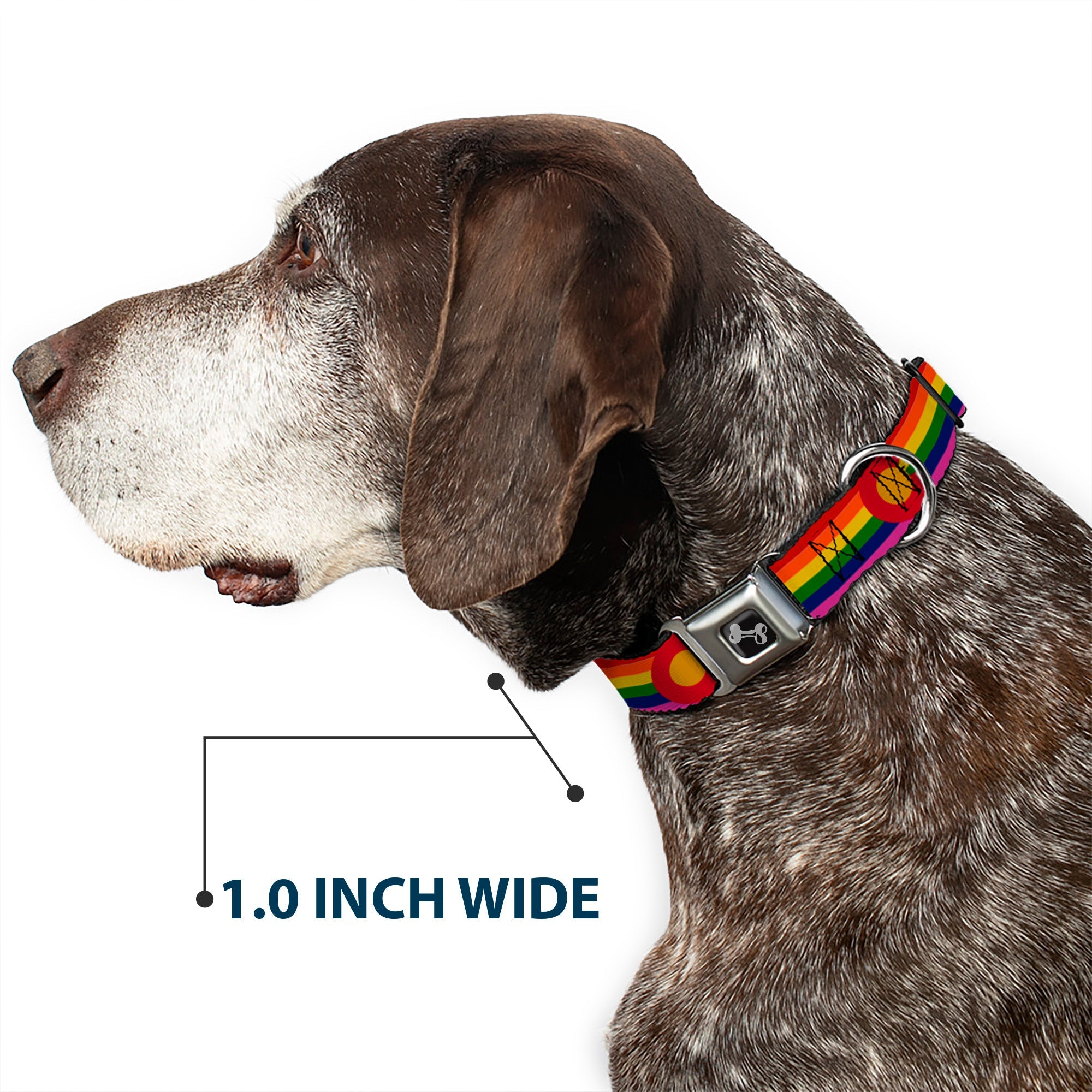 Dog Bone Seatbelt Buckle Collar - Colorado Flags2 Pride Vintage