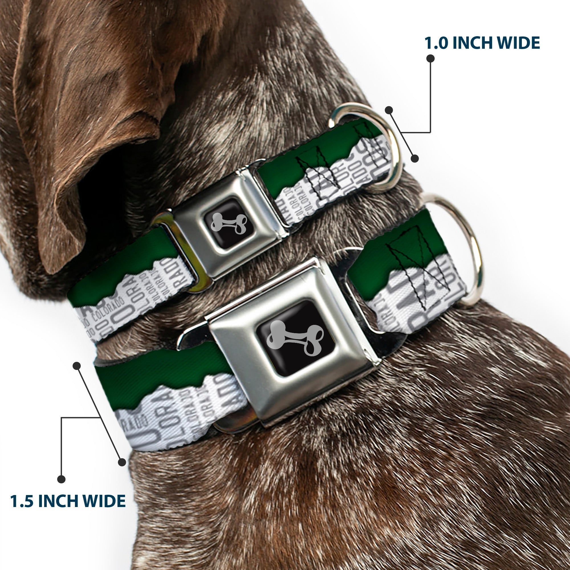 Dog Bone Seatbelt Buckle Collar - Colorado Mountains Green/White/Gray Text