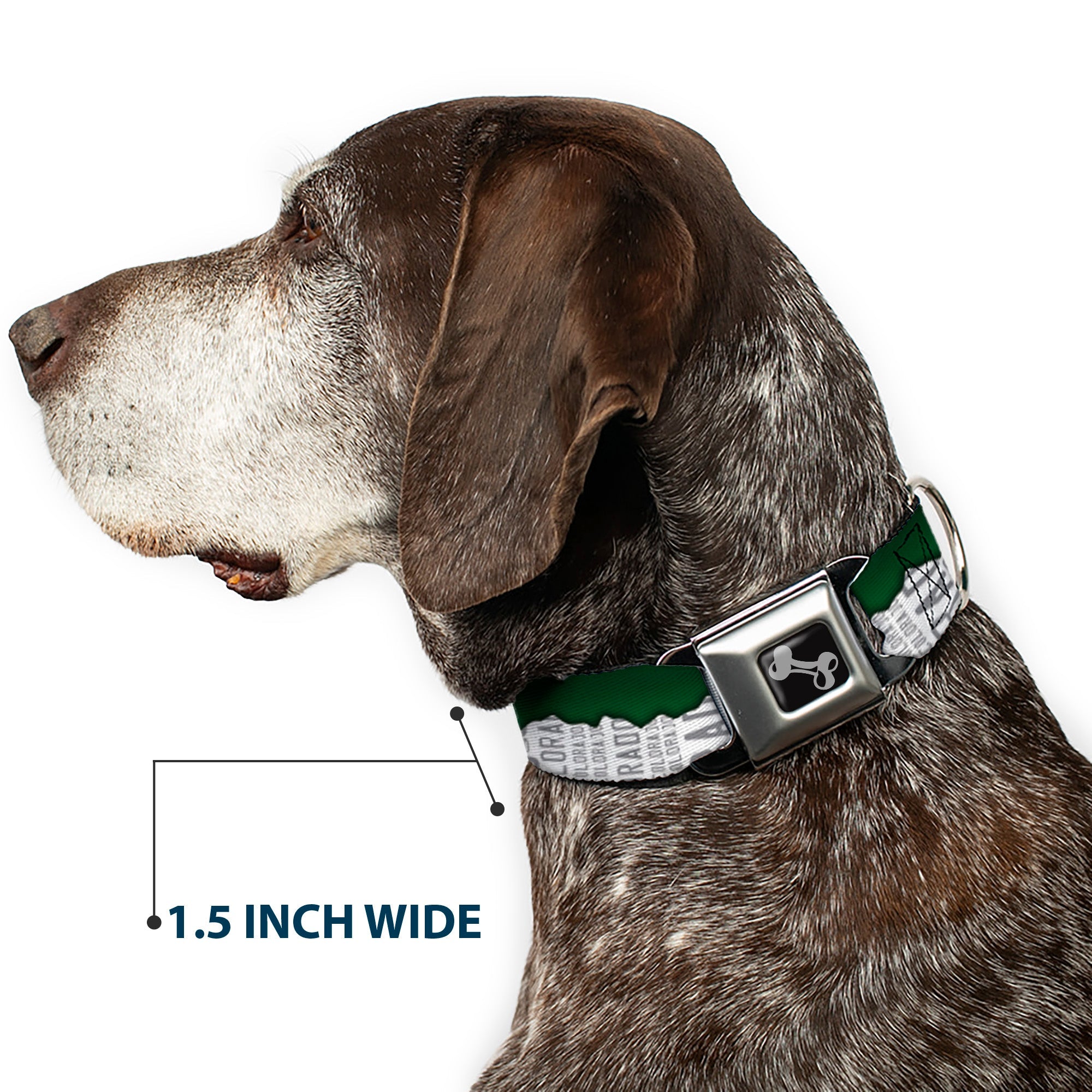 Dog Bone Seatbelt Buckle Collar - Colorado Mountains Green/White/Gray Text