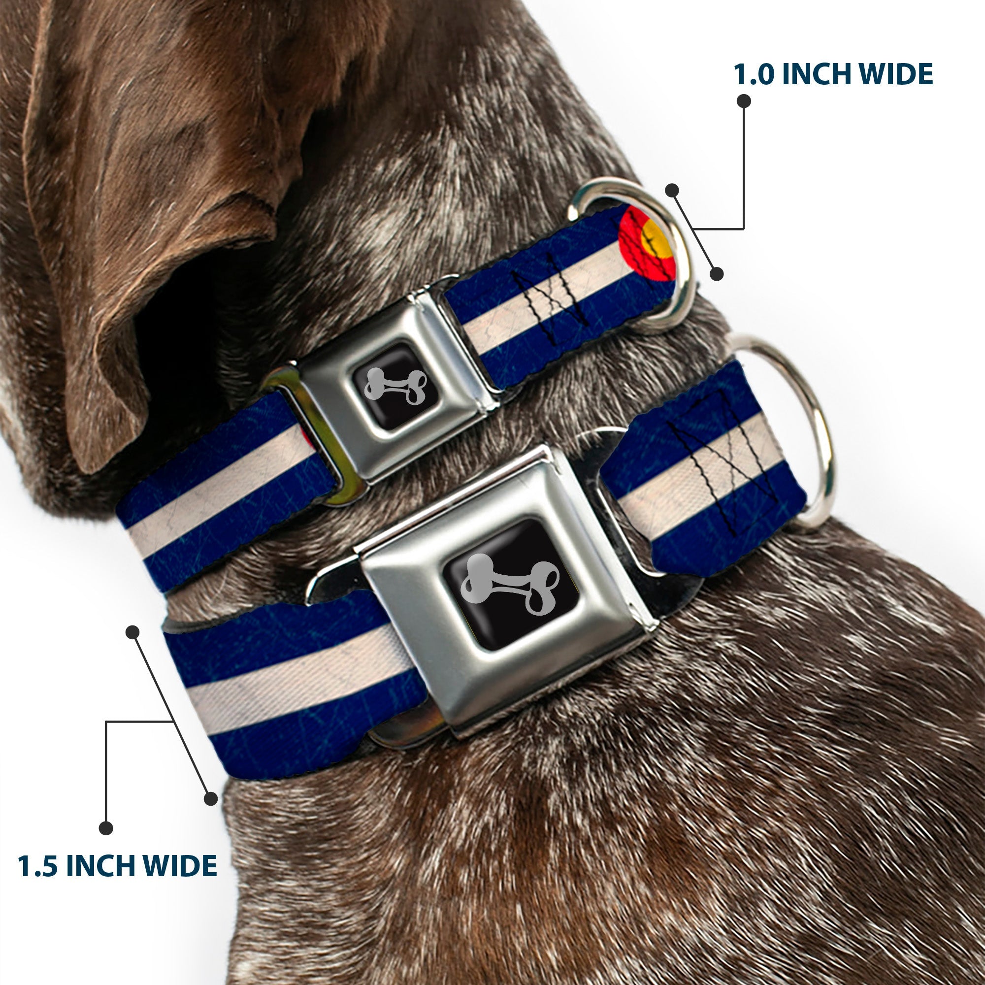 Dog Bone Seatbelt Buckle Collar - Colorado Flags2 Repeat Vintage