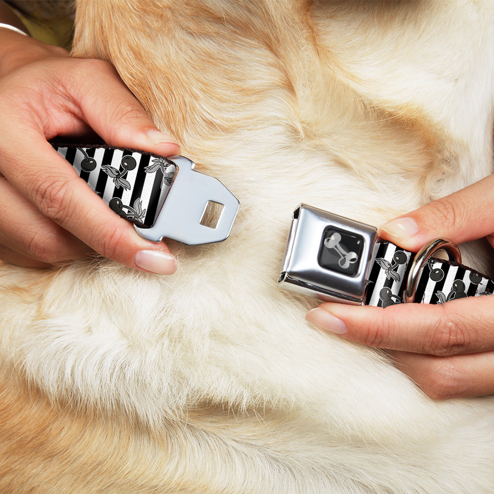 Dog Bone Seatbelt Buckle Collar - Cherries Scattered/Vertical Stripe White/Black/Grays