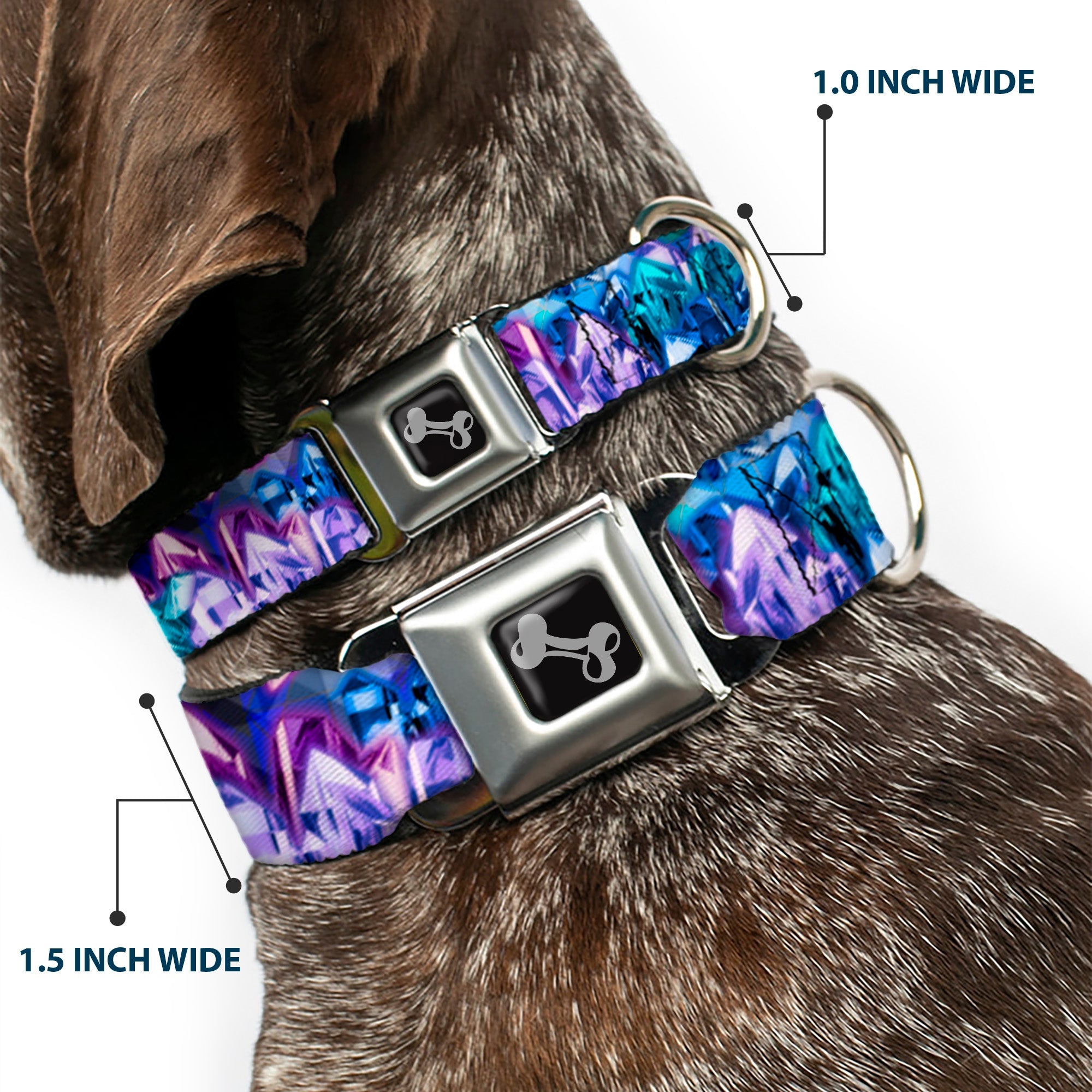 Dog Bone Seatbelt Buckle Collar - Crystals2 Blues/Purples