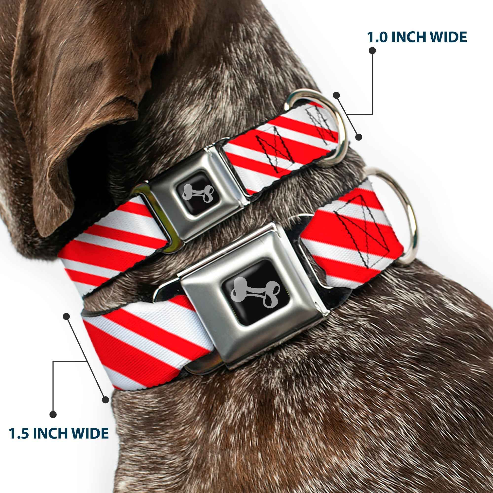 Buckle-Down Candy Cane3 Stripe White/3-Red Seatbelt Buckle Dog Collar