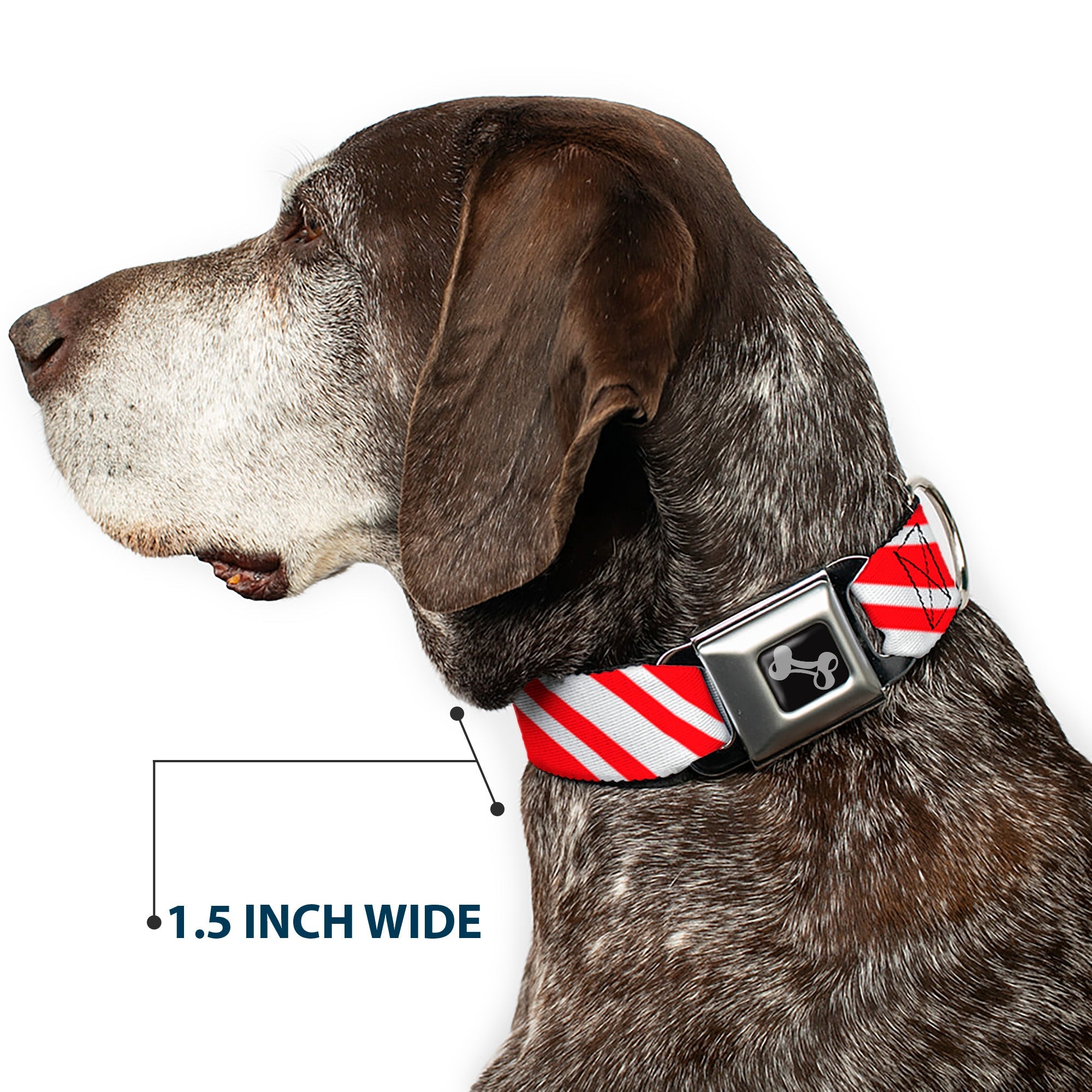 Buckle-Down Candy Cane3 Stripe White/3-Red Seatbelt Buckle Dog Collar