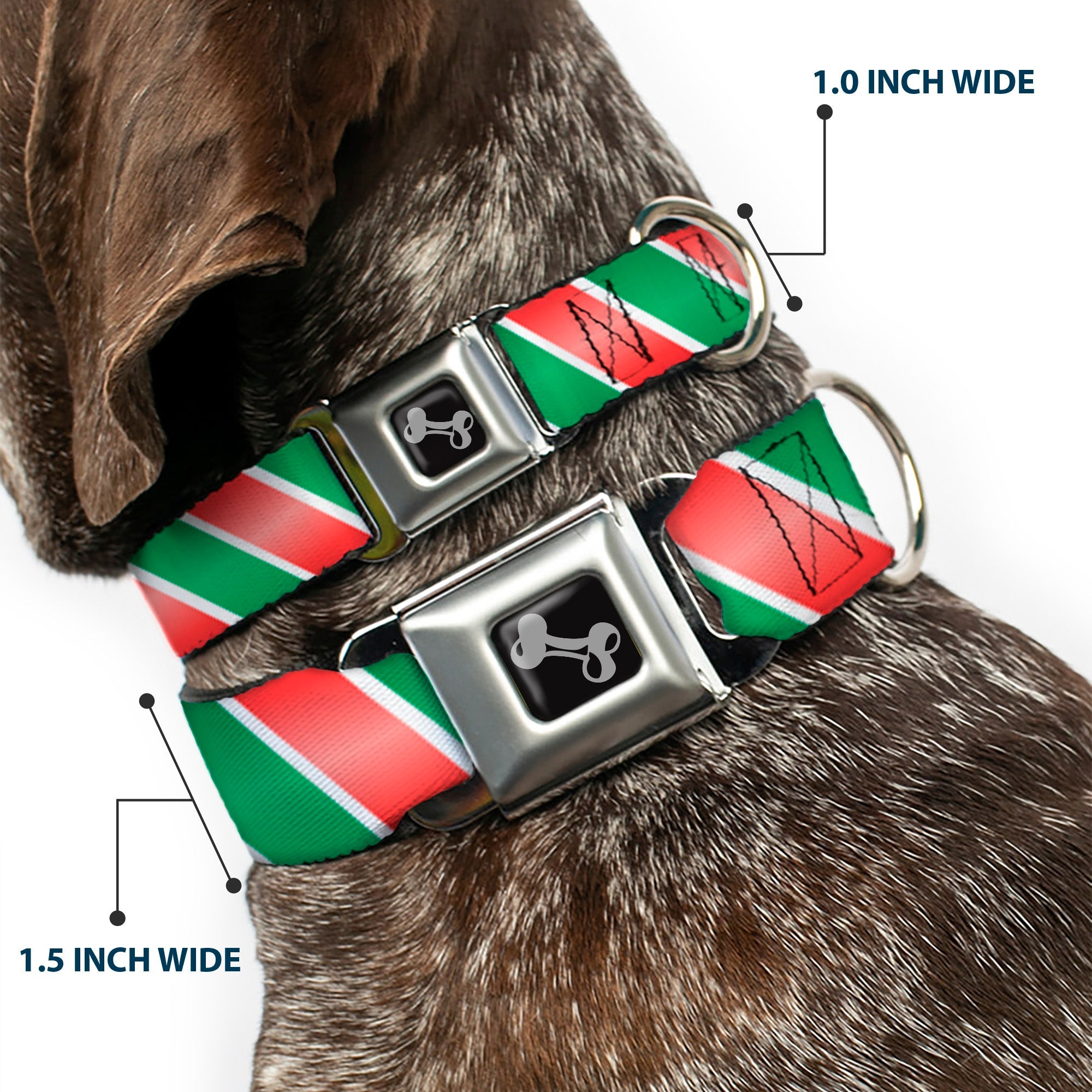 Dog Bone Seatbelt Buckle Collar - Candy Cane4 White/Red/Green