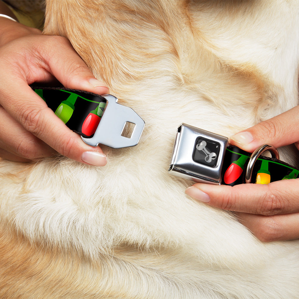 Buckle-Down Christmas Lights Black/Multicolor Seatbelt Buckle Dog Collar