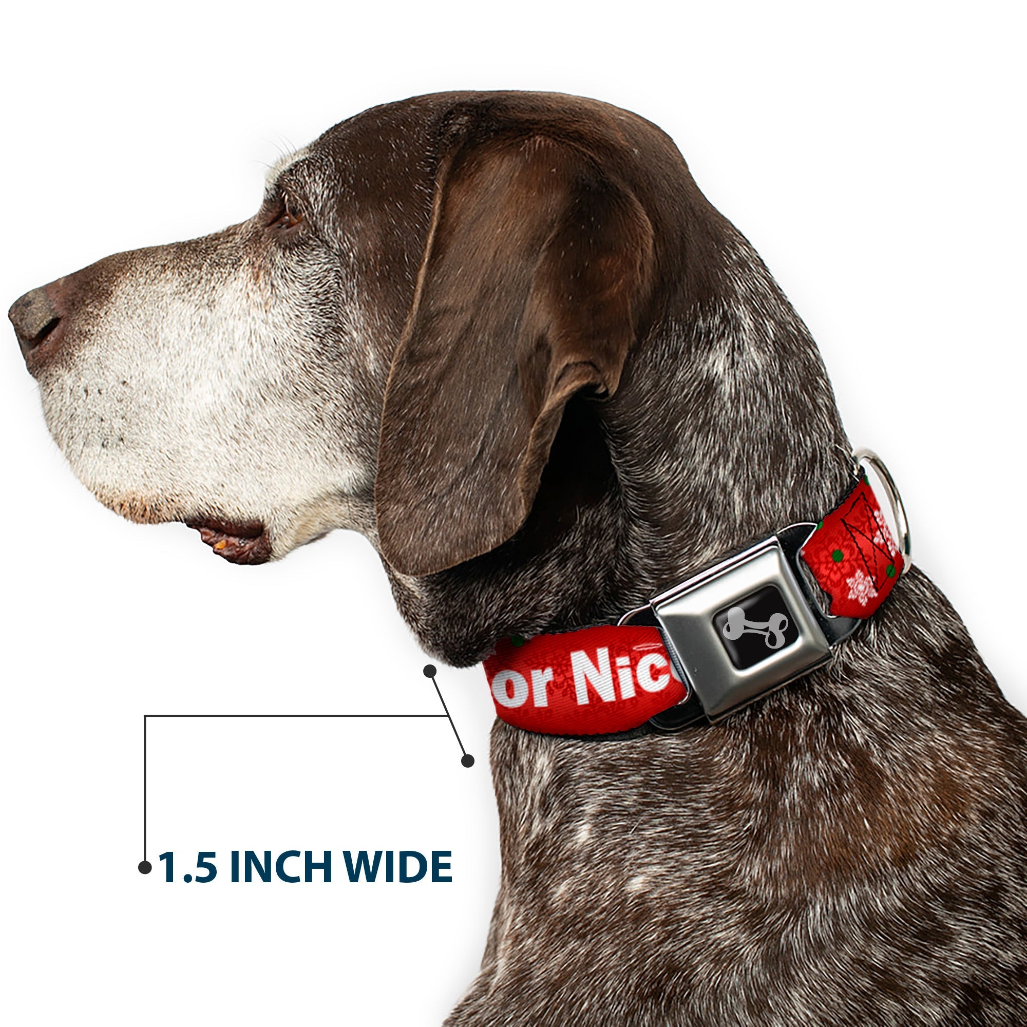 Buckle-Down Christmas Naughty Or Nice/Snowflakes Reds/White/Green Seatbelt Buckle Dog Collar