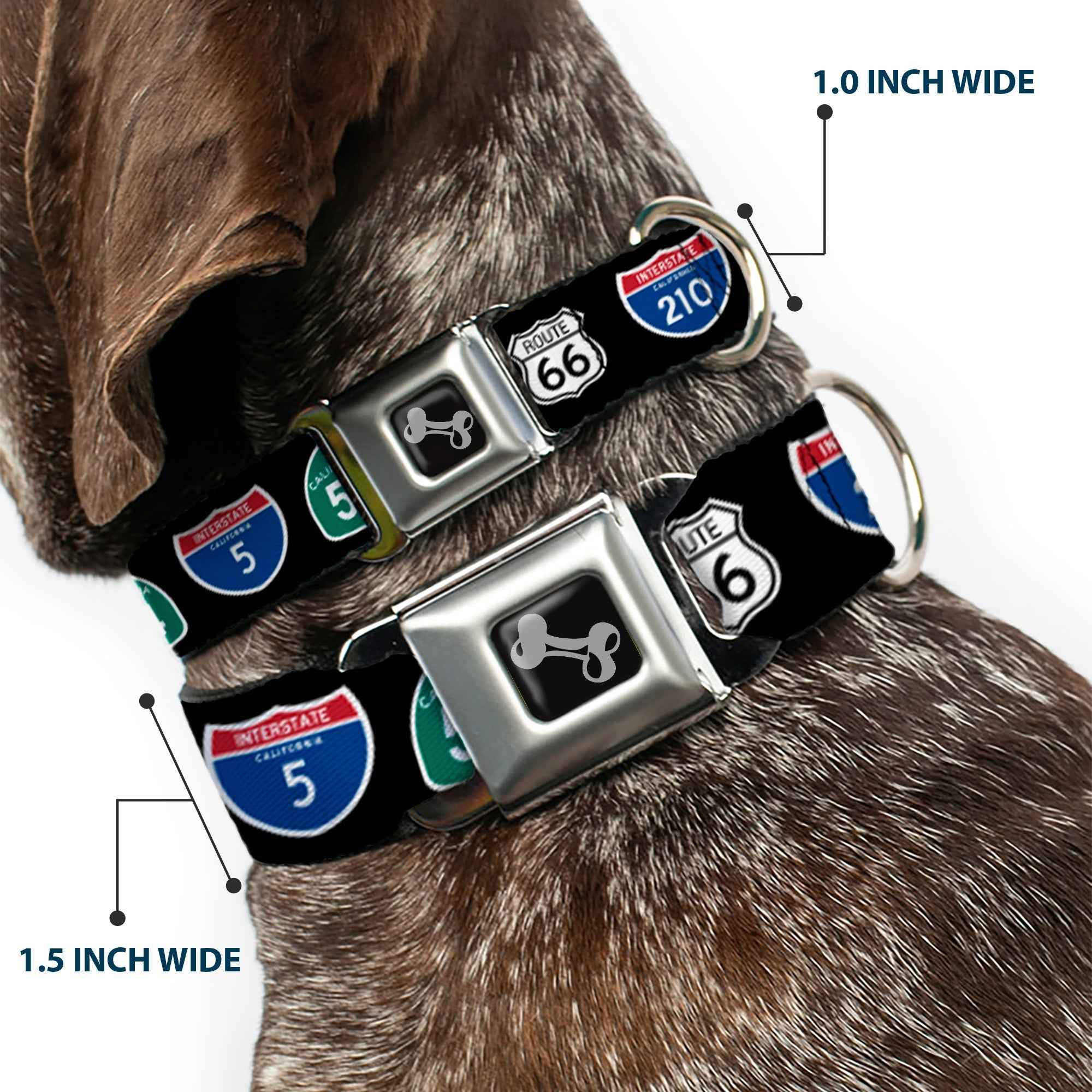 Buckle-Down California Highway Signs Black Seatbelt Buckle Dog Collar