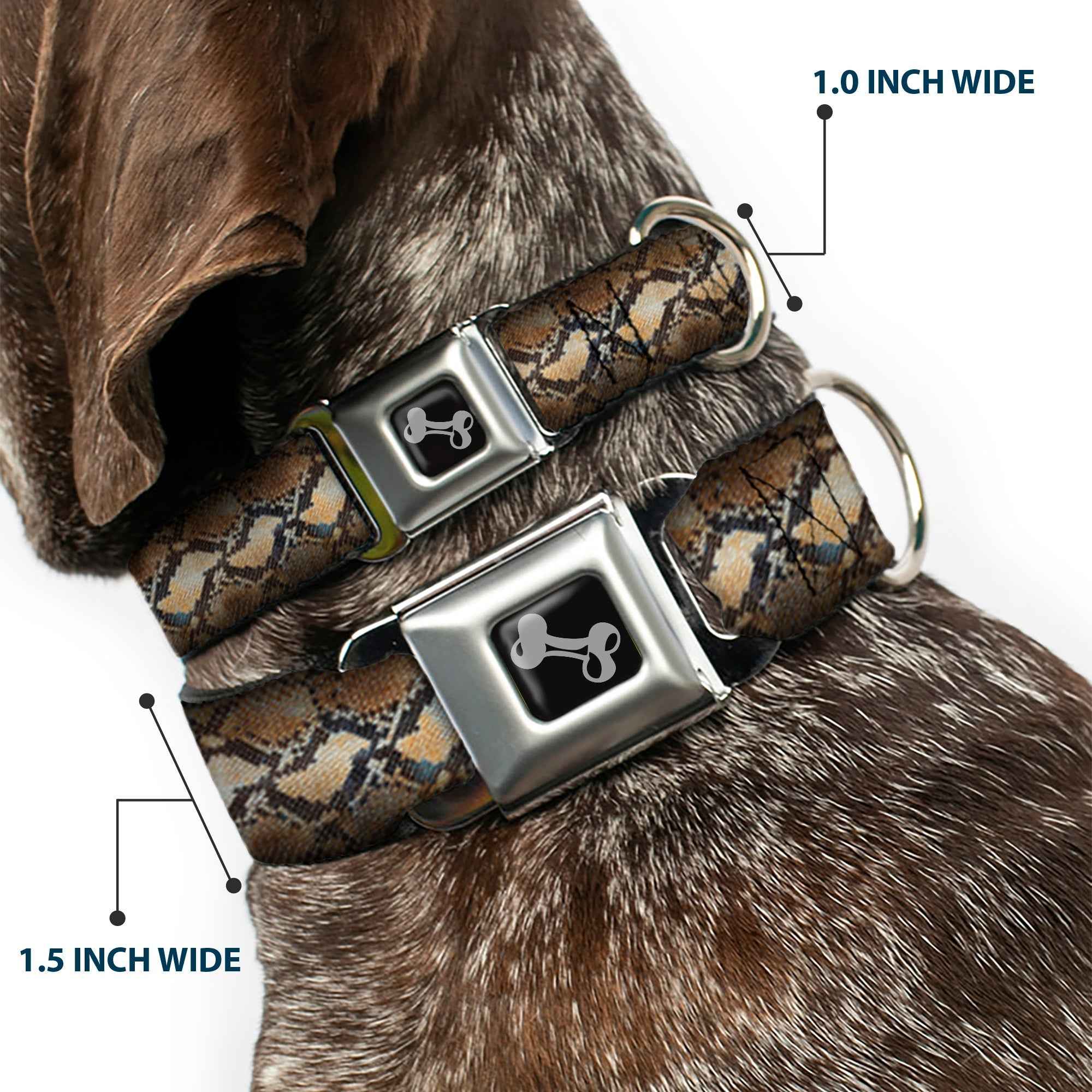Buckle-Down Snake Skin 4 Seatbelt Buckle Dog Collar