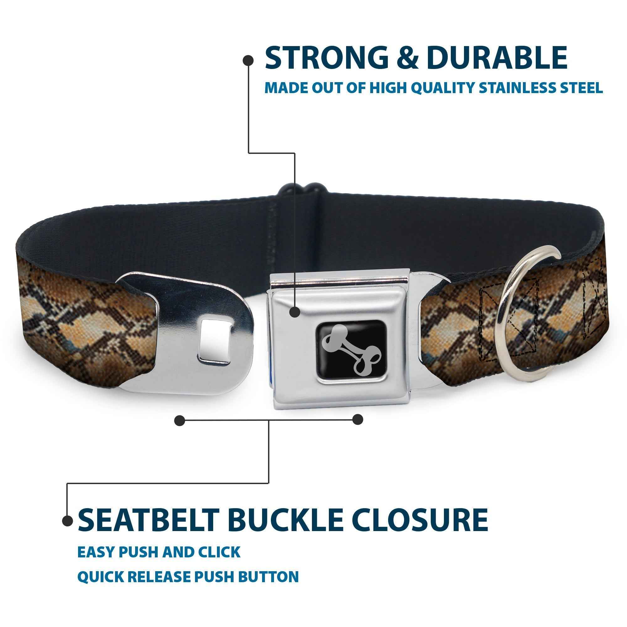 Buckle-Down Snake Skin 4 Seatbelt Buckle Dog Collar