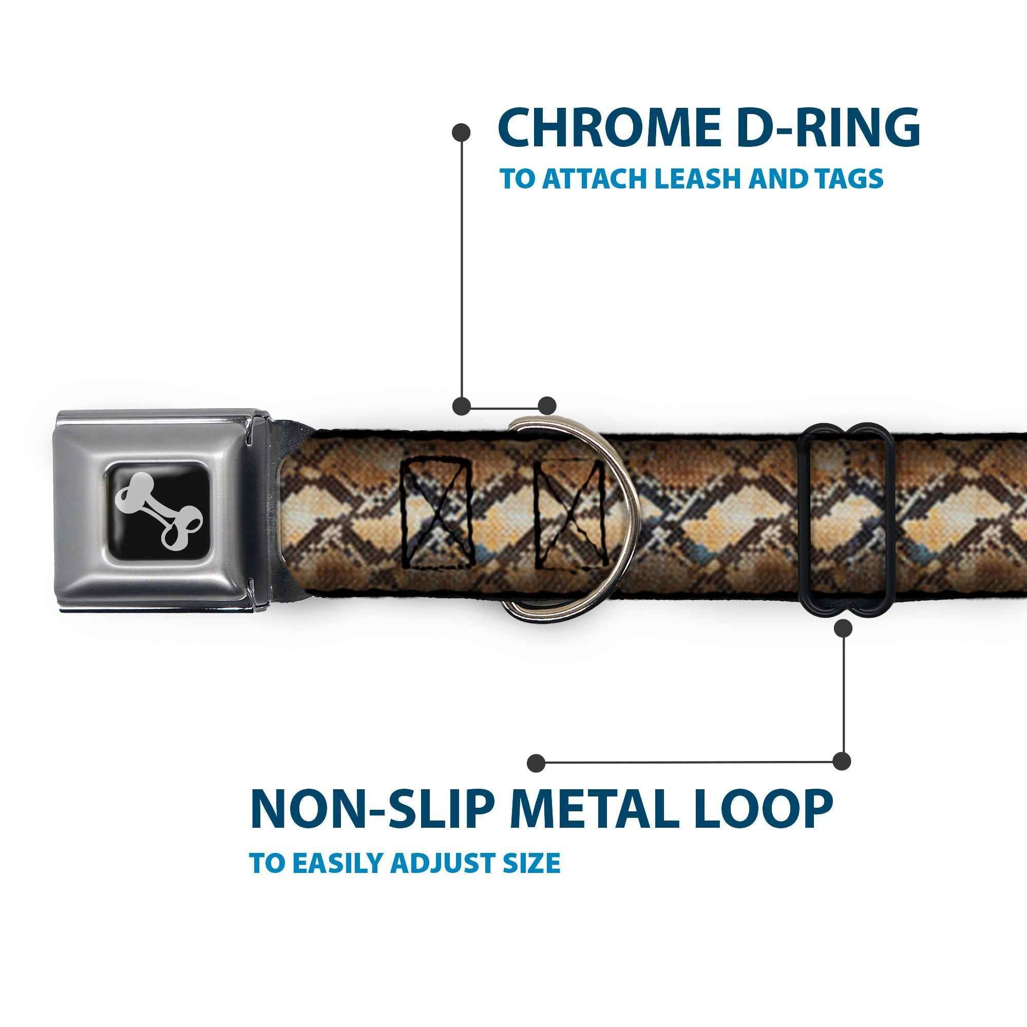 Buckle-Down Snake Skin 4 Seatbelt Buckle Dog Collar