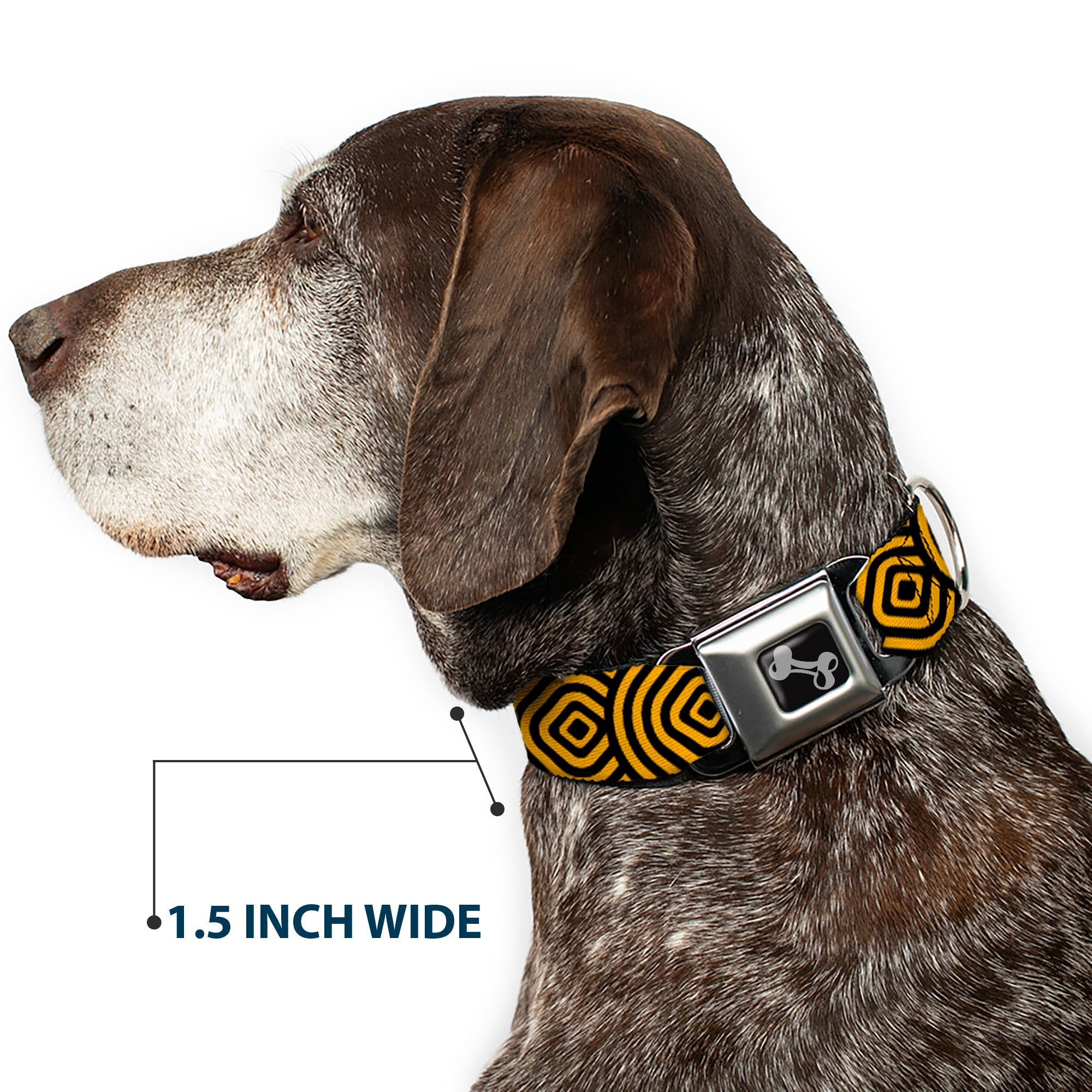 Dog Bone Seatbelt Buckle Collar - Square Target Gold/Black