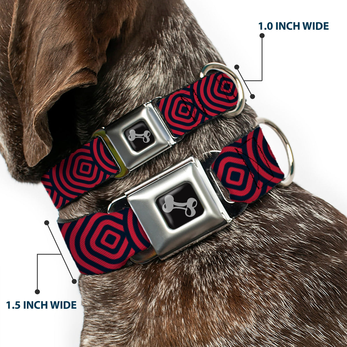 Dog Bone Seatbelt Buckle Collar - Square Target Red/Navy