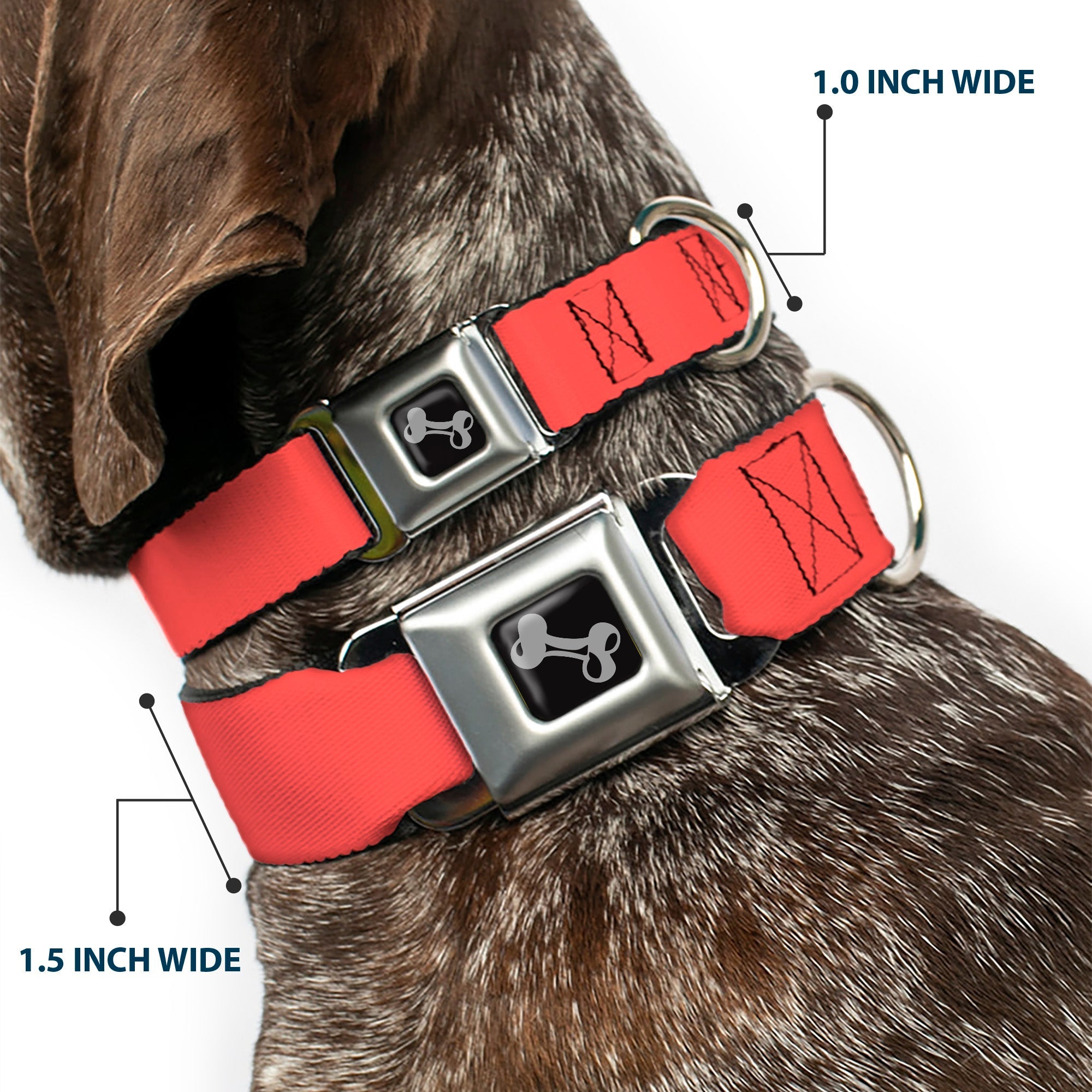 Dog Bone Seatbelt Buckle Collar - Solid Salmon Orange