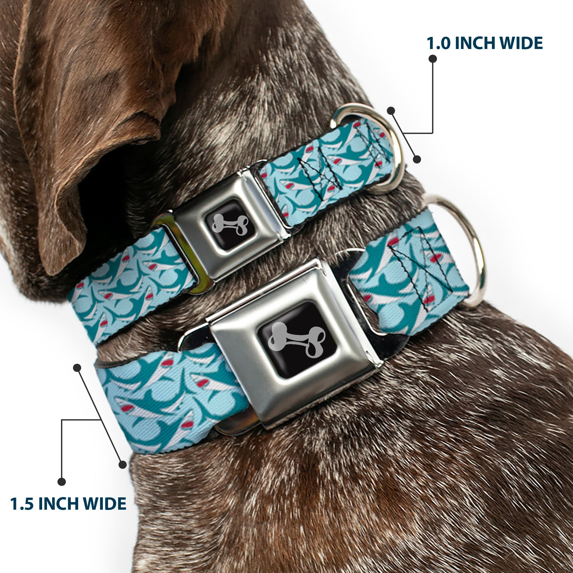 Dog Bone Seatbelt Buckle Collar - Shark 3-Rows Light Blue