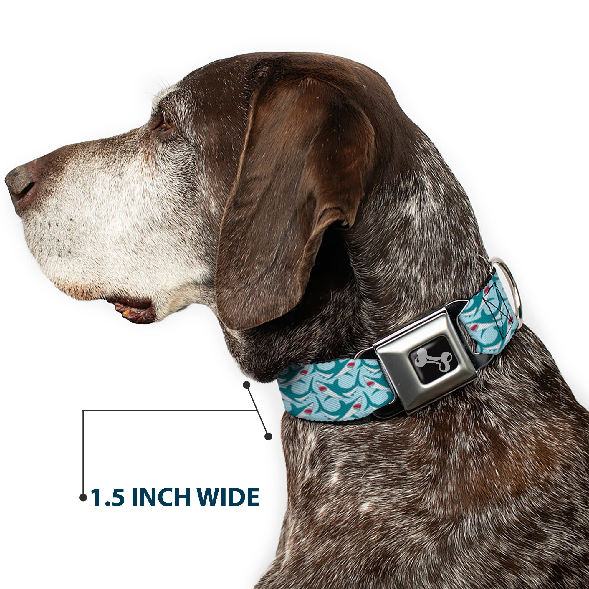 Dog Bone Seatbelt Buckle Collar - Shark 3-Rows Light Blue