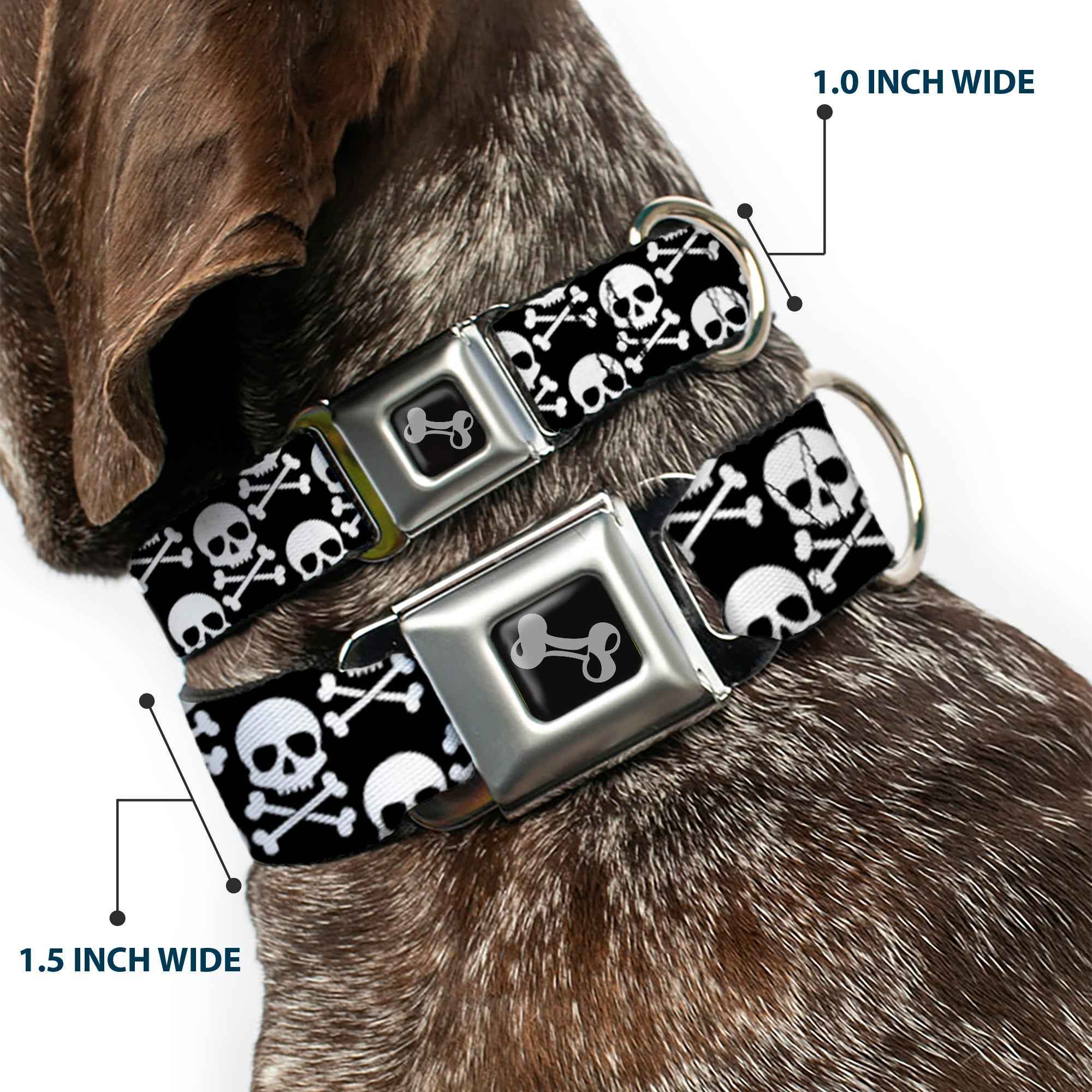 Buckle-Down Dog Bone Black/Silver Seatbelt Buckle Dog Collar - Skull & Cross Bones Staggered Black/White