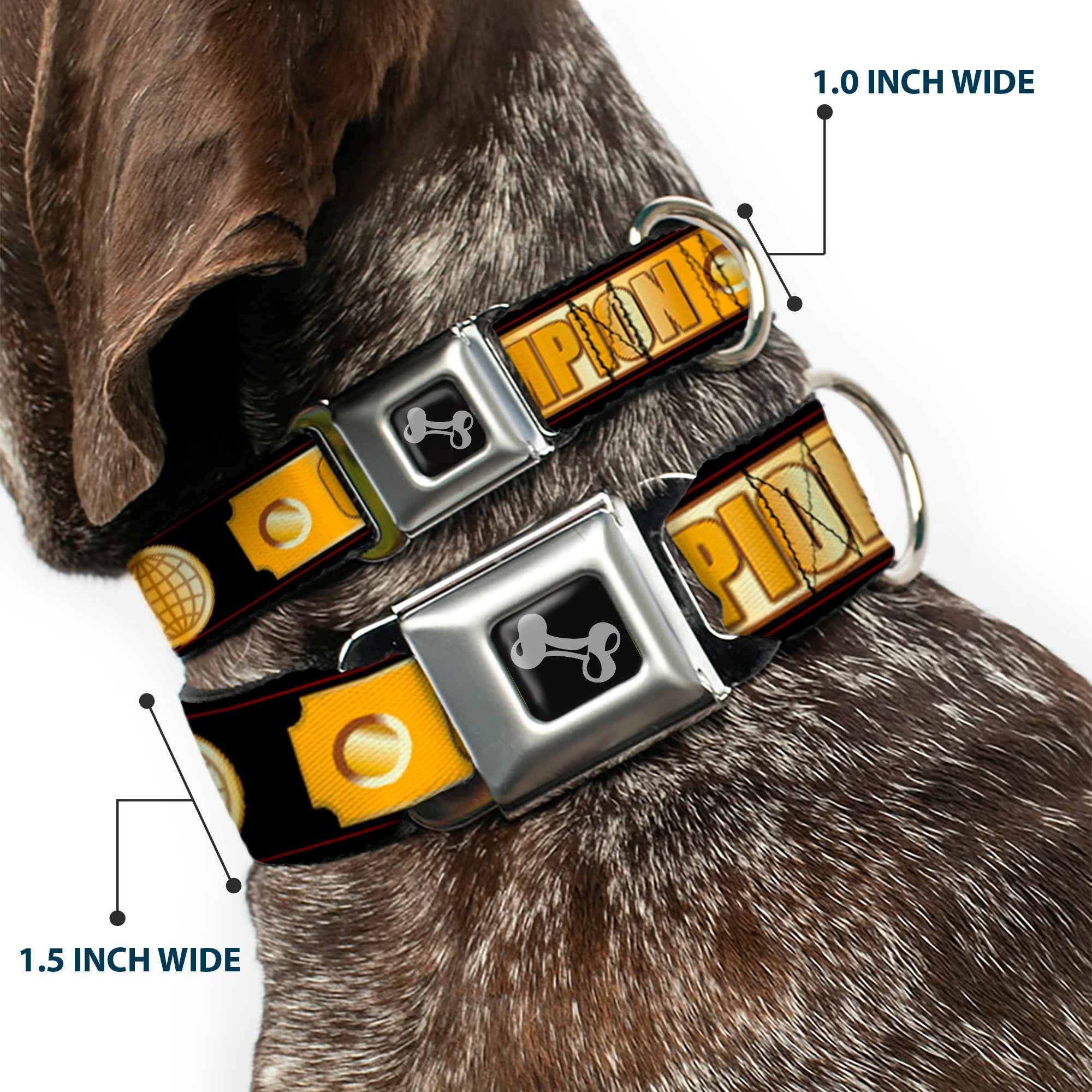 Buckle-Down Champion Belt/Icons Black/Golds Seatbelt Buckle Dog Collar
