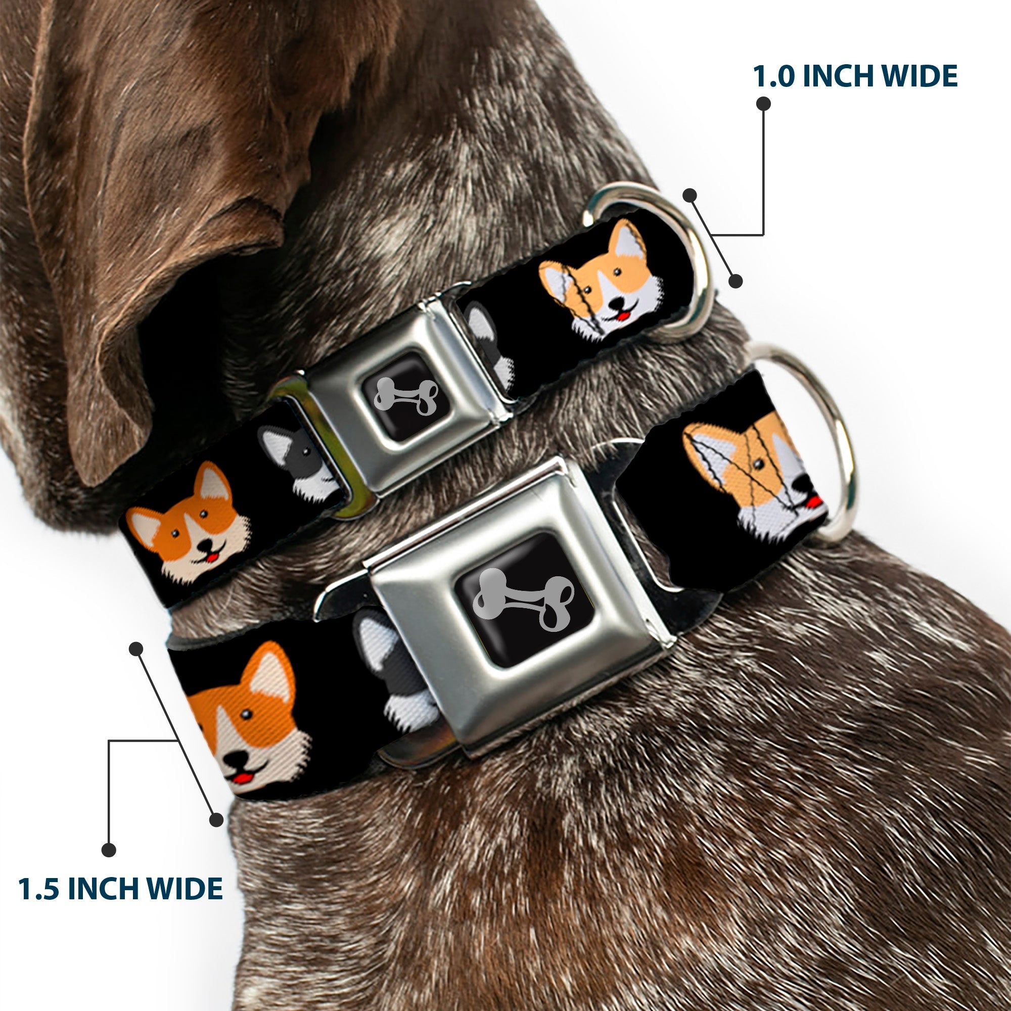 Dog Bone Seatbelt Buckle Collar - Corgi 3-Faces Black