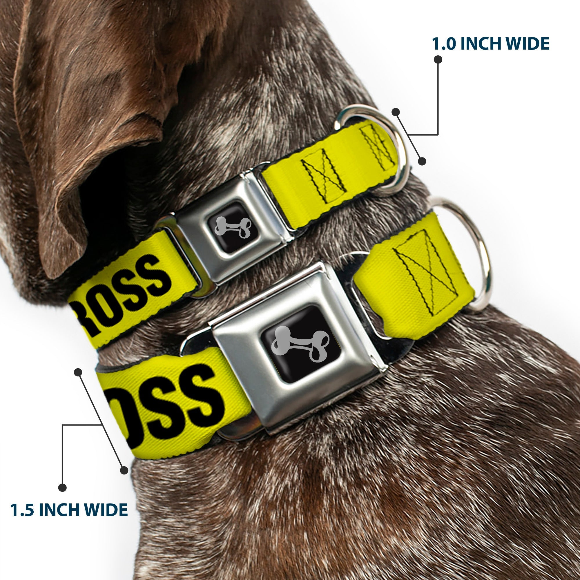 Dog Bone Seatbelt Buckle Collar - CRIME SCENE DO NOT CROSS Yellow/Black