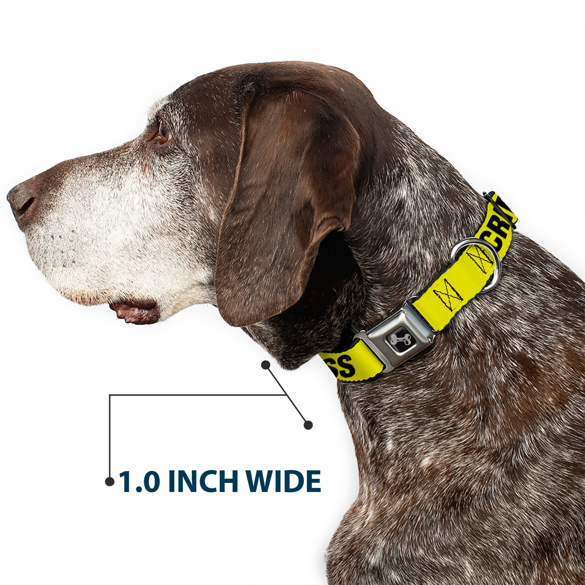Dog Bone Seatbelt Buckle Collar - CRIME SCENE DO NOT CROSS Yellow/Black