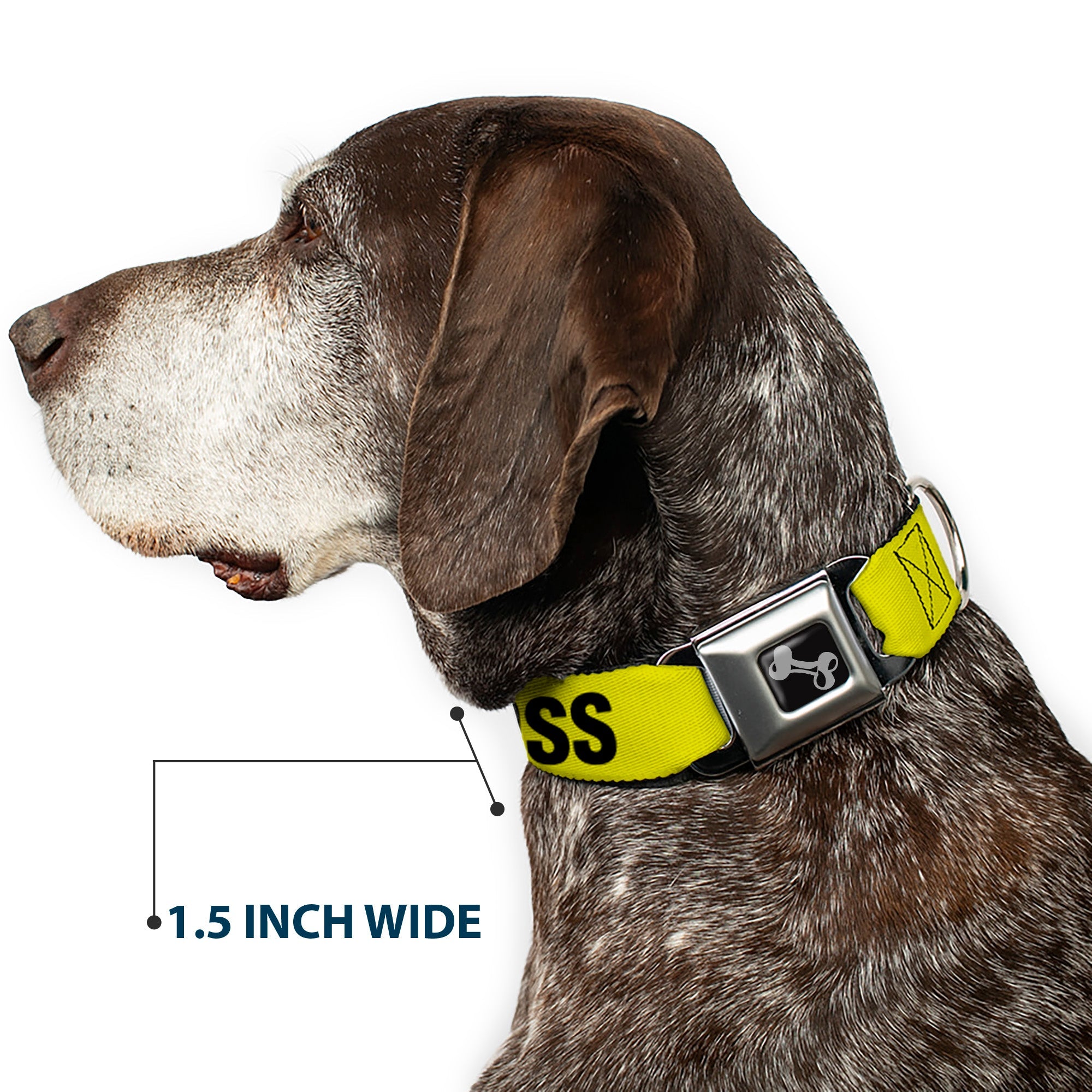 Dog Bone Seatbelt Buckle Collar - CRIME SCENE DO NOT CROSS Yellow/Black