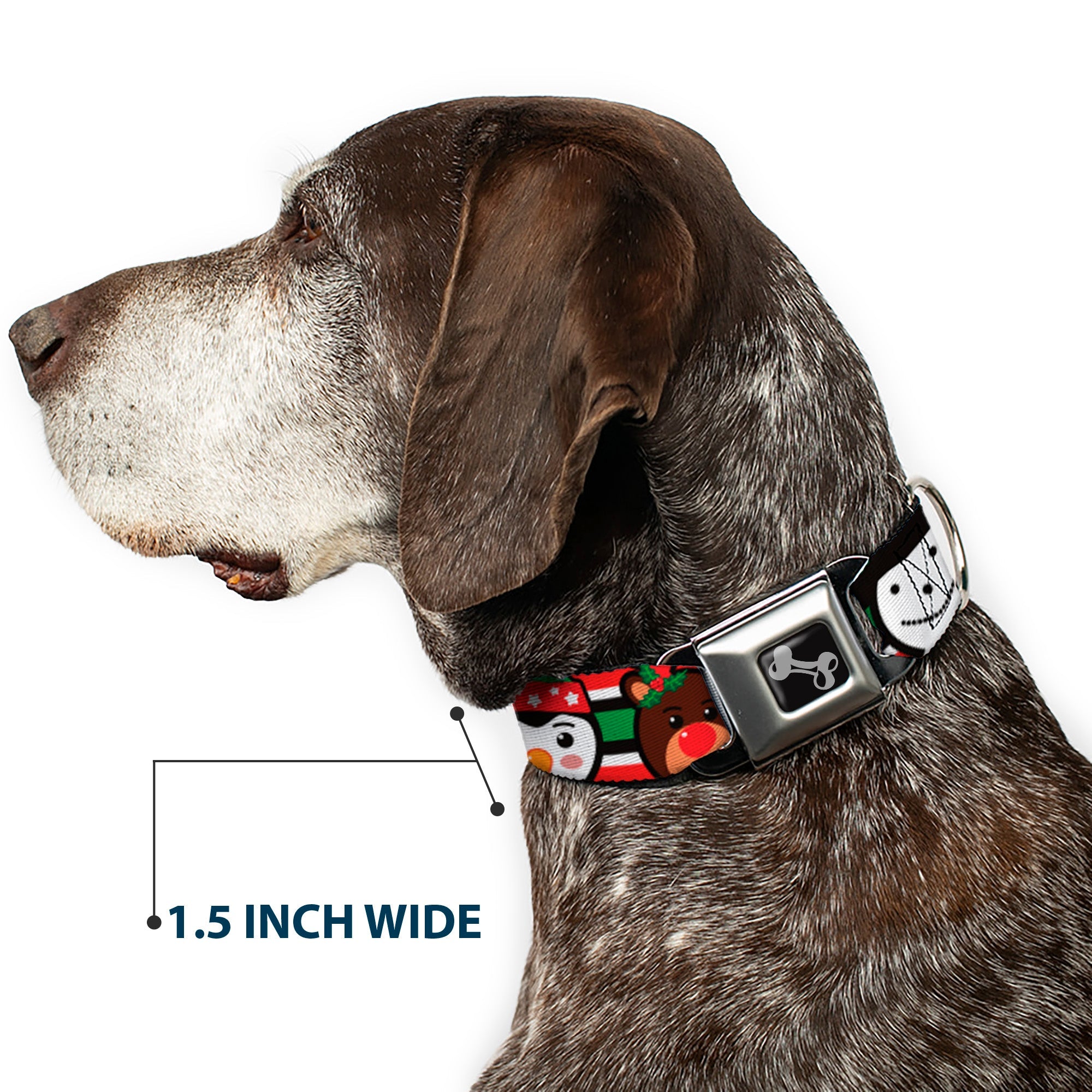 Buckle-Down Dog Bone Black/Silver Seatbelt Buckle Dog Collar - Christmas Penguin/Reindeer/Snowman Stripe Red/White/Black/Green