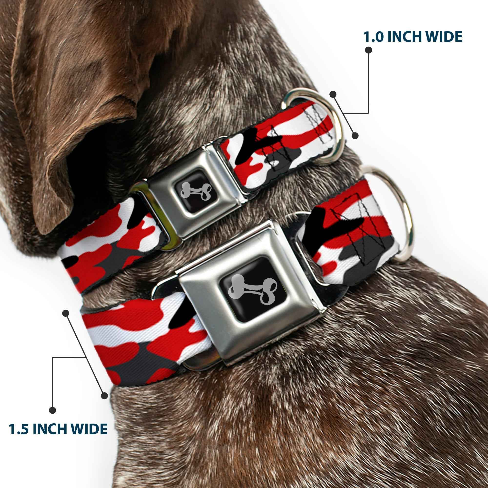 Buckle-Down Dog Bone Black/Silver Seatbelt Buckle Dog Collar - Camo Red/Black/Gray/White
