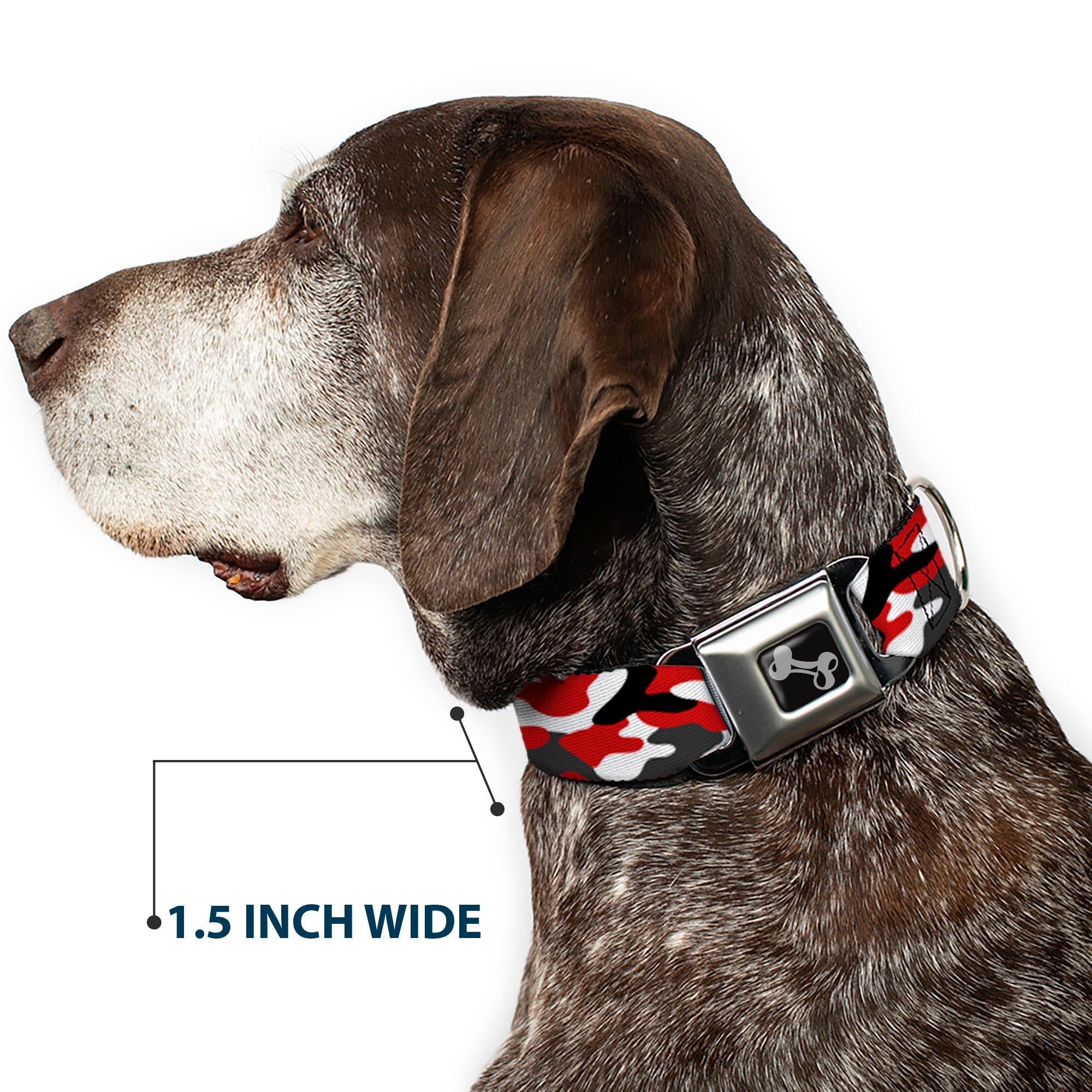 Buckle-Down Dog Bone Black/Silver Seatbelt Buckle Dog Collar - Camo Red/Black/Gray/White
