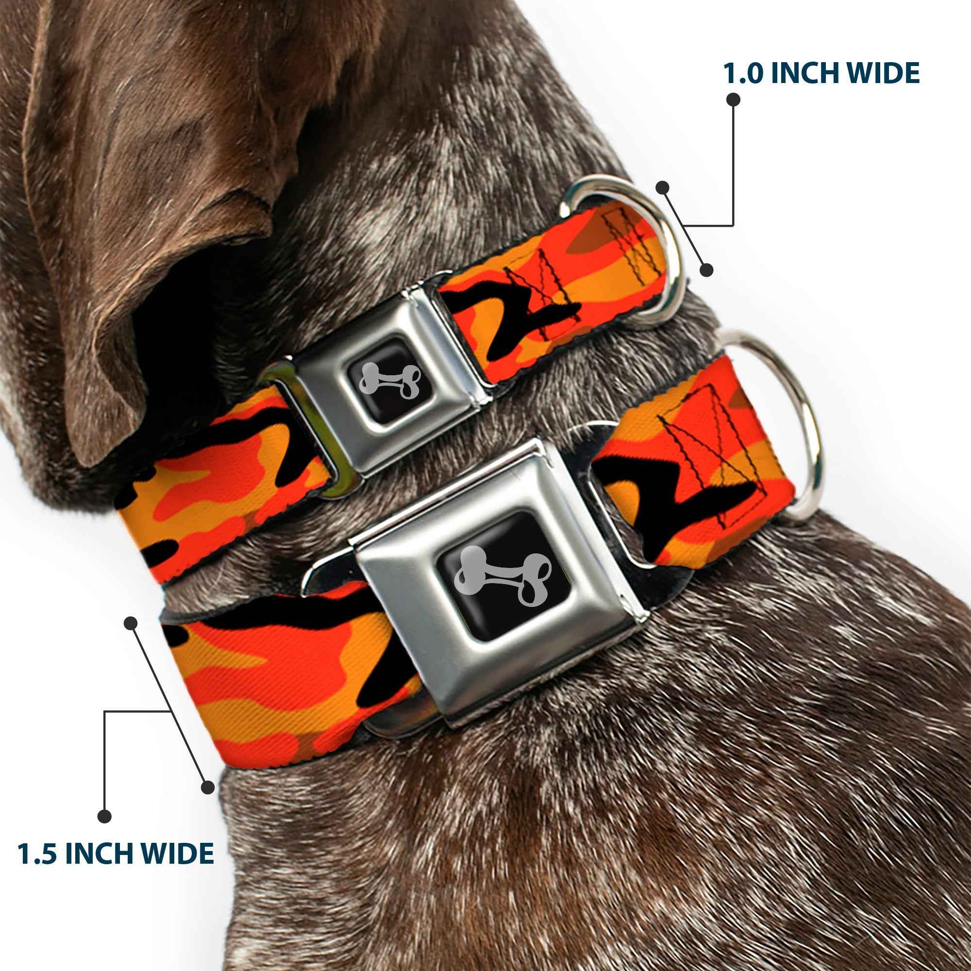Buckle-Down Dog Bone Black/Silver Seatbelt Buckle Dog Collar - Camo Oranges/Black