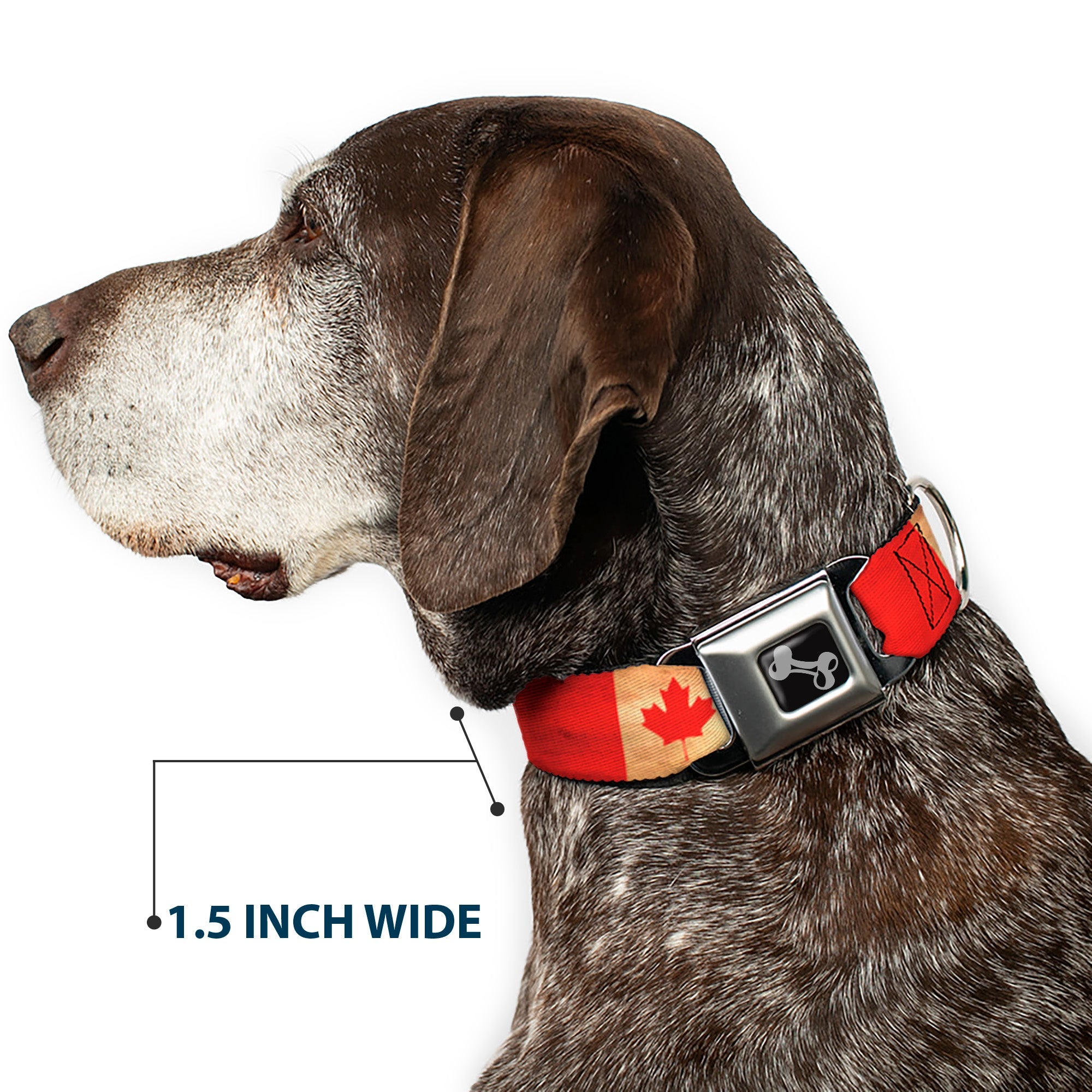 Dog Bone Black/Silver Seatbelt Buckle Collar - Canada Flag Continuous Vintage