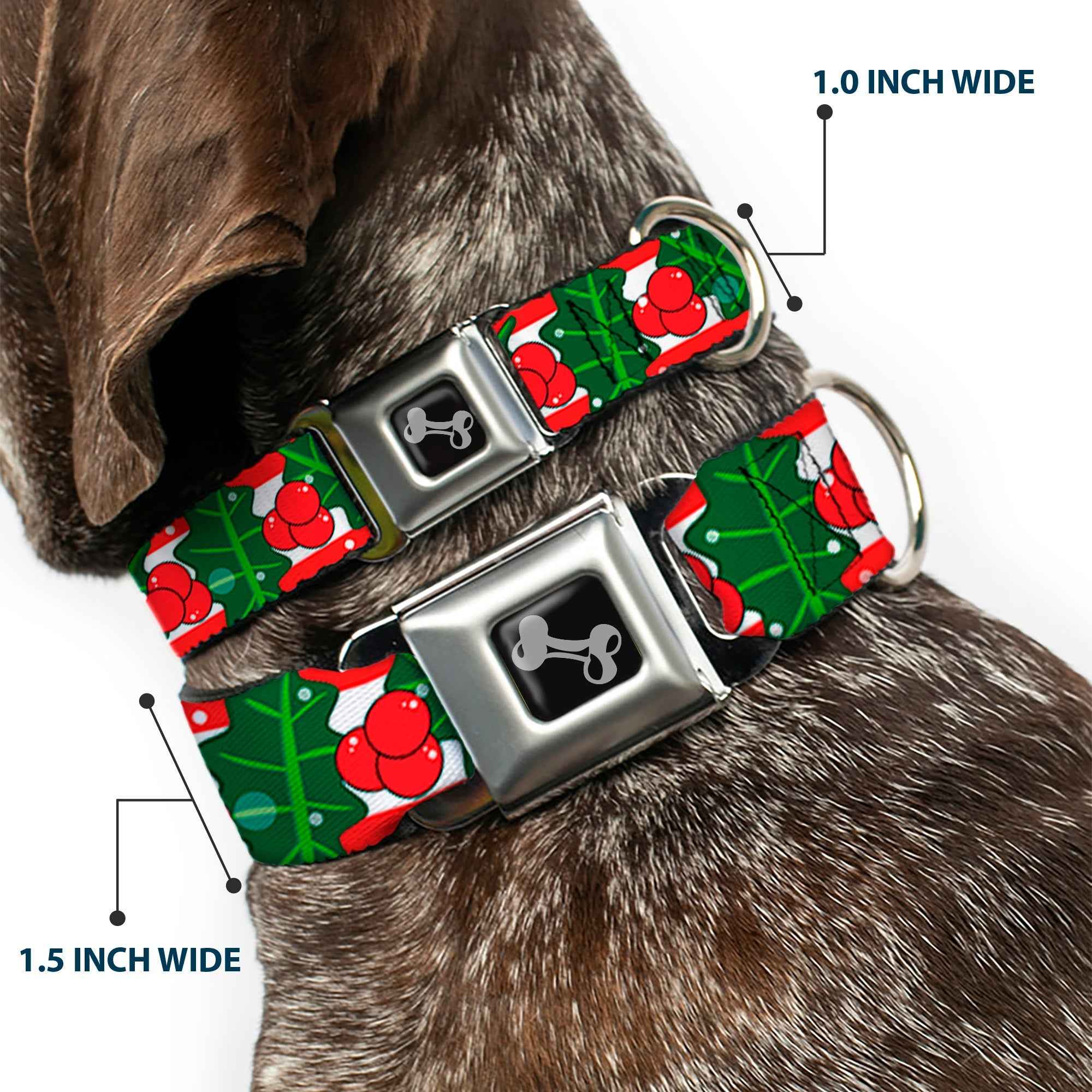Buckle-Down Dog Bone Black/Silver Seatbelt Buckle Dog Collar - Snowy Holly Stripe Reds/White/Greens