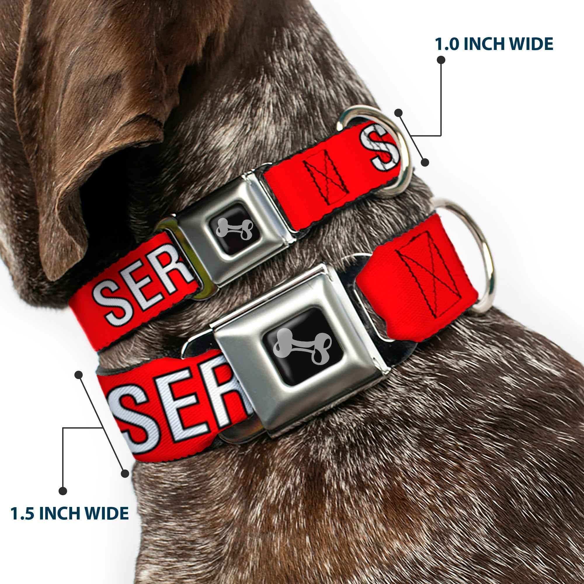 Buckle-Down Dog Bone Black/Silver Seatbelt Buckle Dog Collar - Service Dog Red/Black/White