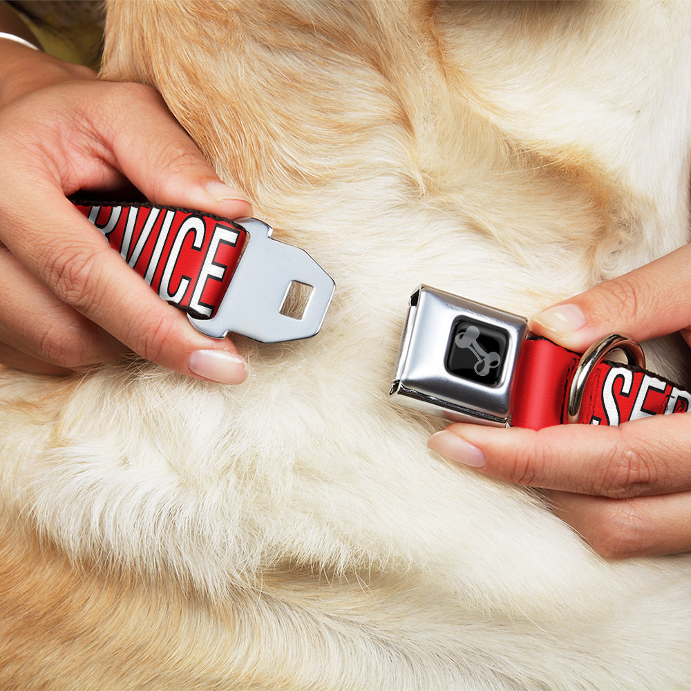 Buckle-Down Dog Bone Black/Silver Seatbelt Buckle Dog Collar - Service Dog Red/Black/White