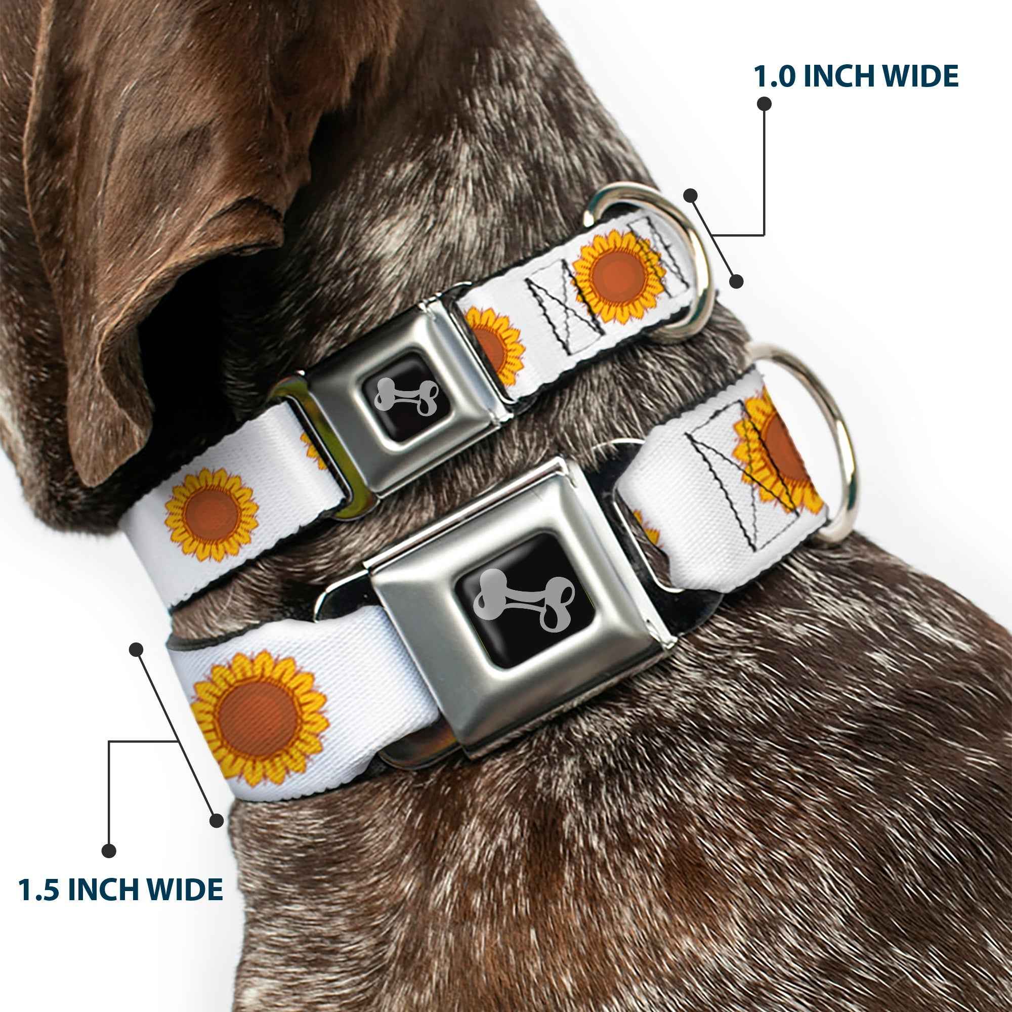 Buckle-Down Dog Bone Black/Silver Seatbelt Buckle Dog Collar - Sunflower Face Repeat White