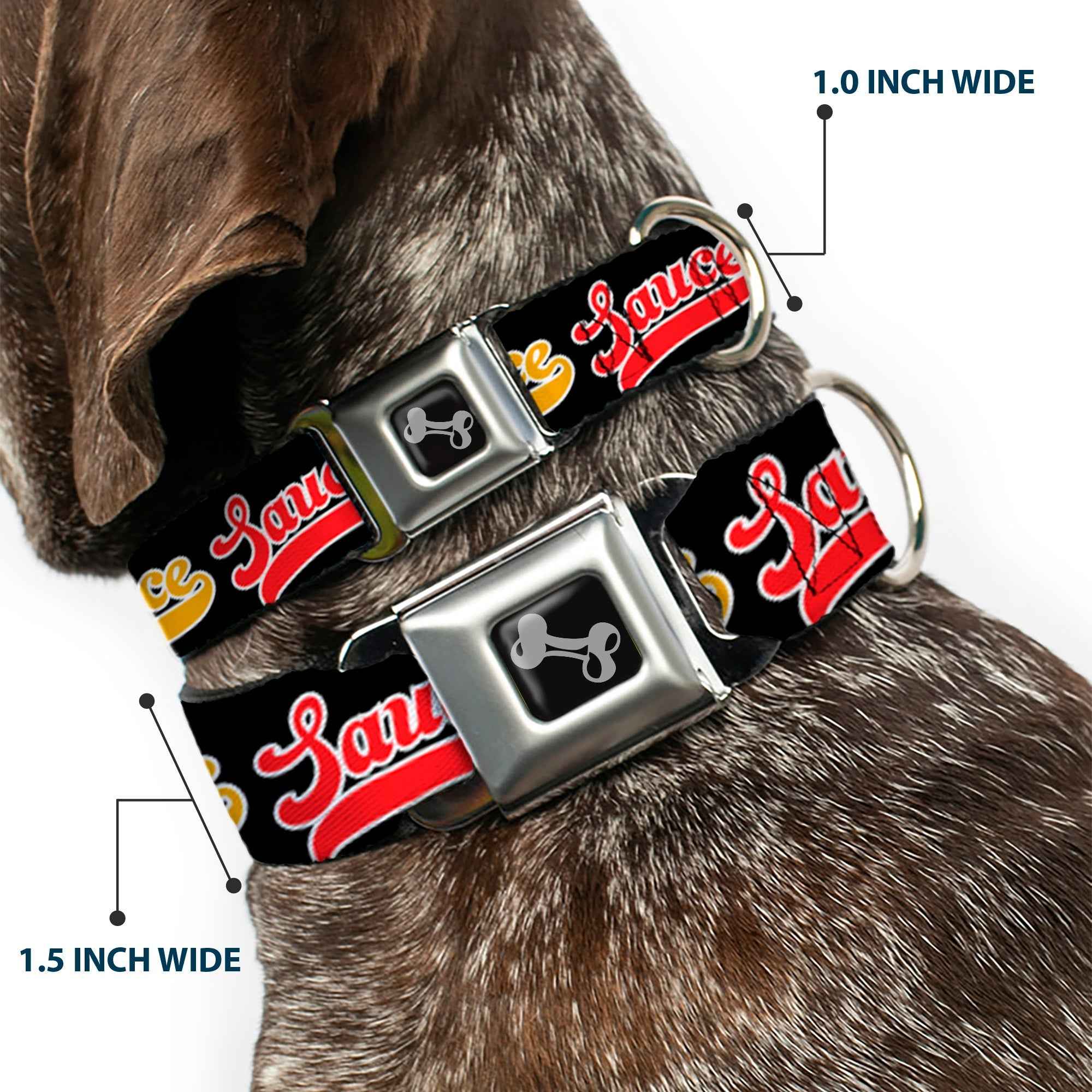 Buckle-Down Dog Bone Black/Silver Seatbelt Buckle Dog Collar - Sauce Baseball Script Black/Multicolor