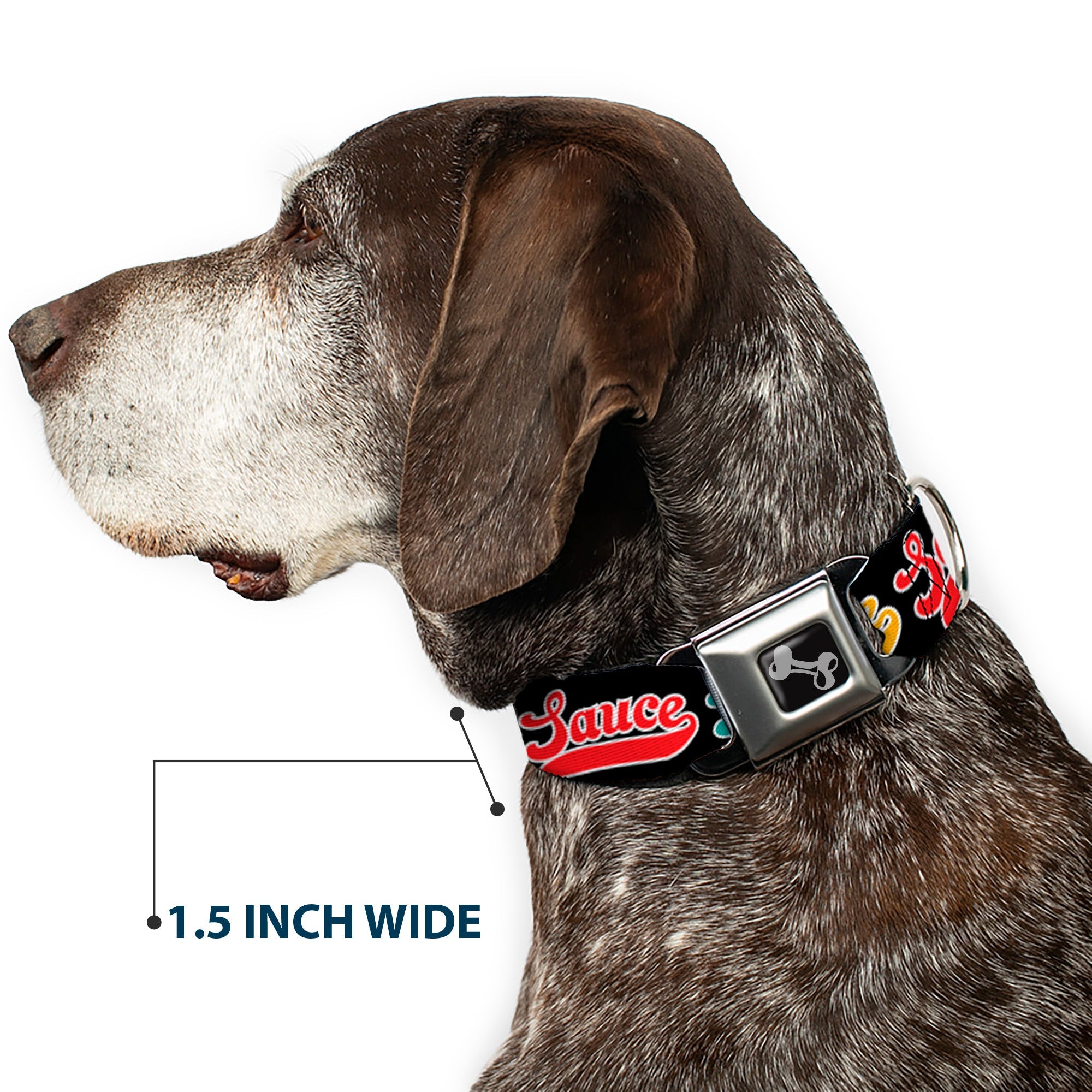 Buckle-Down Dog Bone Black/Silver Seatbelt Buckle Dog Collar - Sauce Baseball Script Black/Multicolor