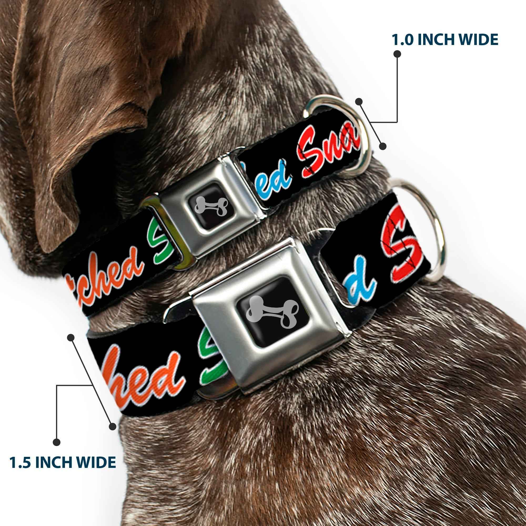Buckle-Down Dog Bone Black/Silver Seatbelt Buckle Dog Collar - Snatched Script Black/Multicolor