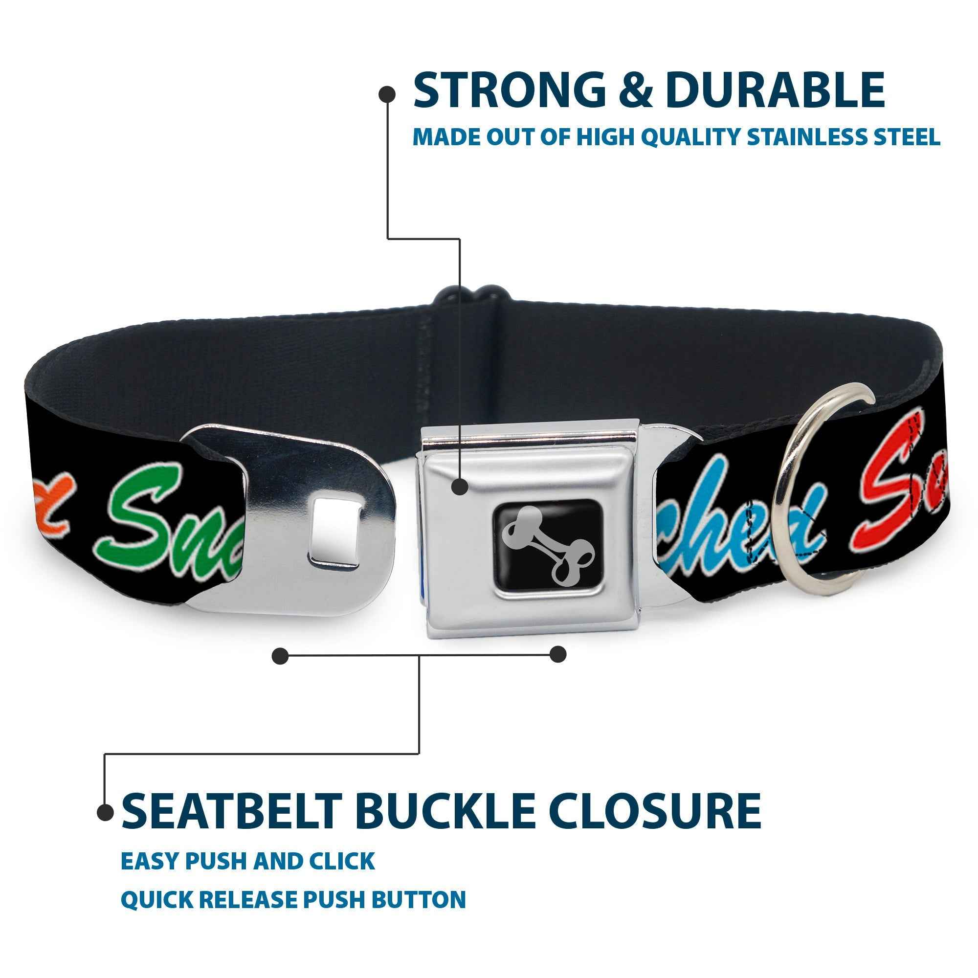 Buckle-Down Dog Bone Black/Silver Seatbelt Buckle Dog Collar - Snatched Script Black/Multicolor