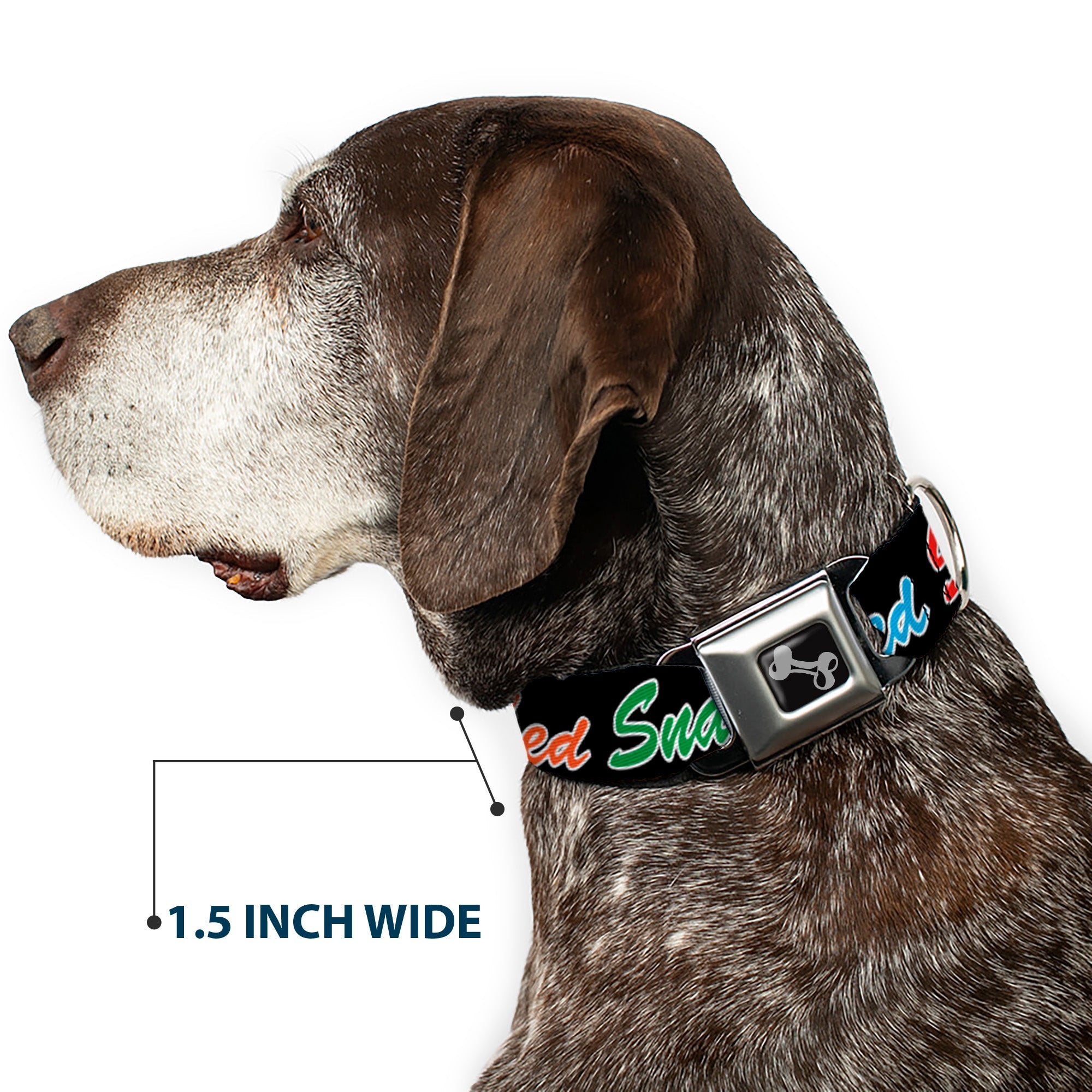 Buckle-Down Dog Bone Black/Silver Seatbelt Buckle Dog Collar - Snatched Script Black/Multicolor