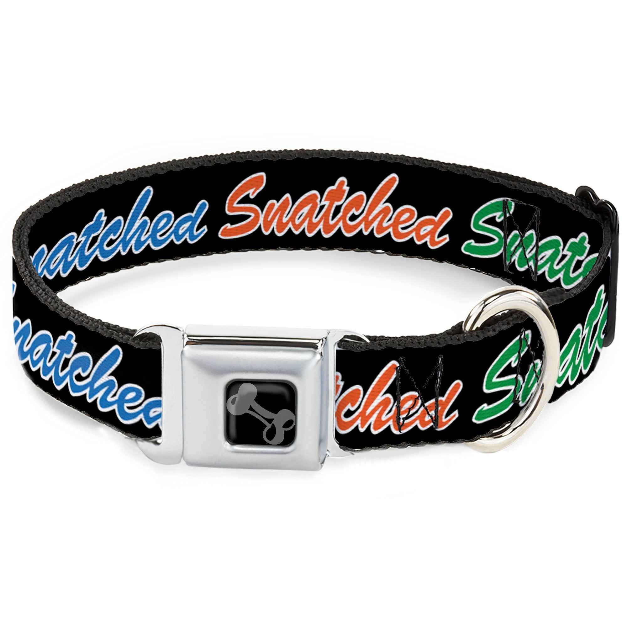 Buckle-Down Dog Bone Black/Silver Seatbelt Buckle Dog Collar - Snatched Script Black/Multicolor