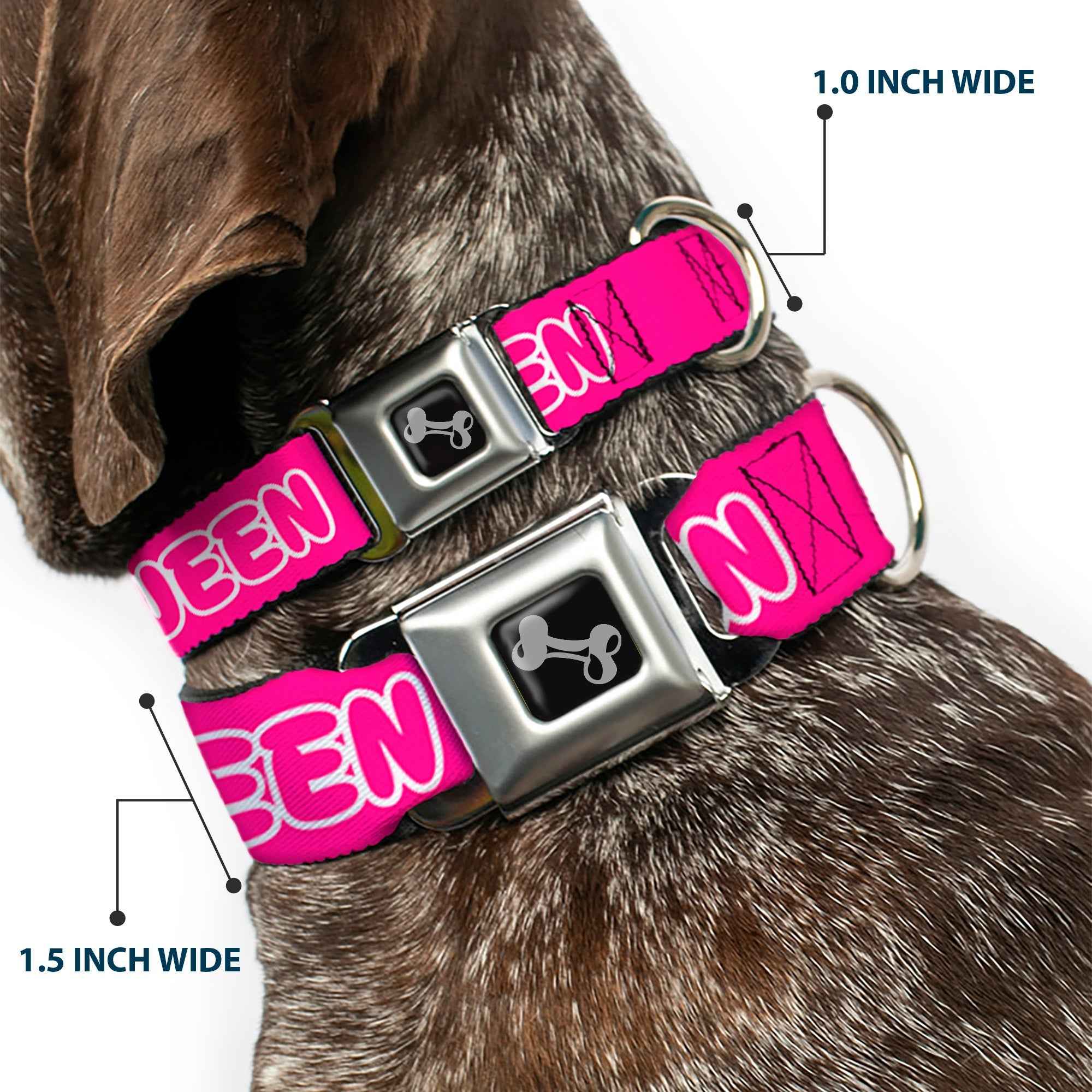 Buckle-Down Dog Bone Black/Silver Seatbelt Buckle Dog Collar - Slay Queen Bubble Text Pink/White