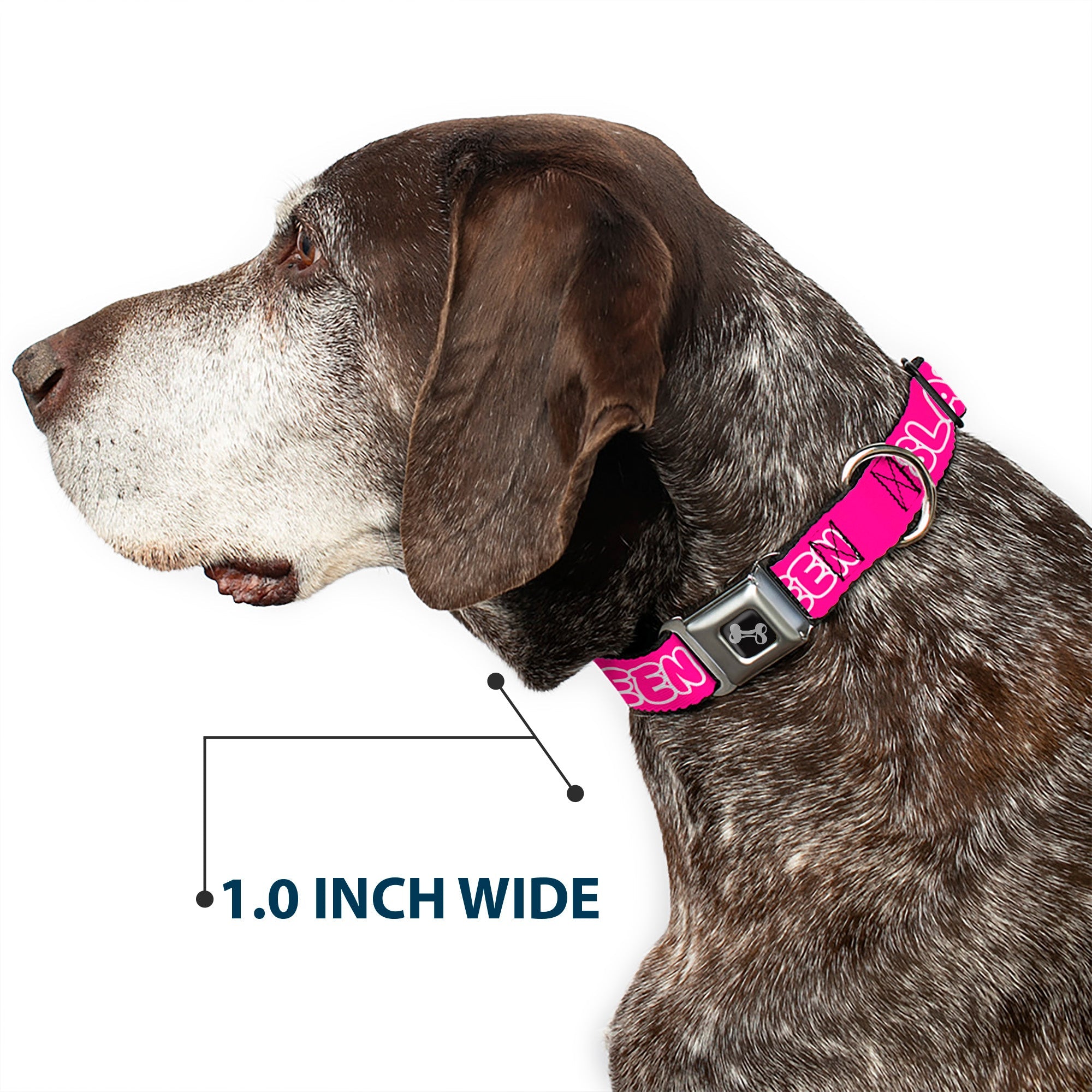 Buckle-Down Dog Bone Black/Silver Seatbelt Buckle Dog Collar - Slay Queen Bubble Text Pink/White