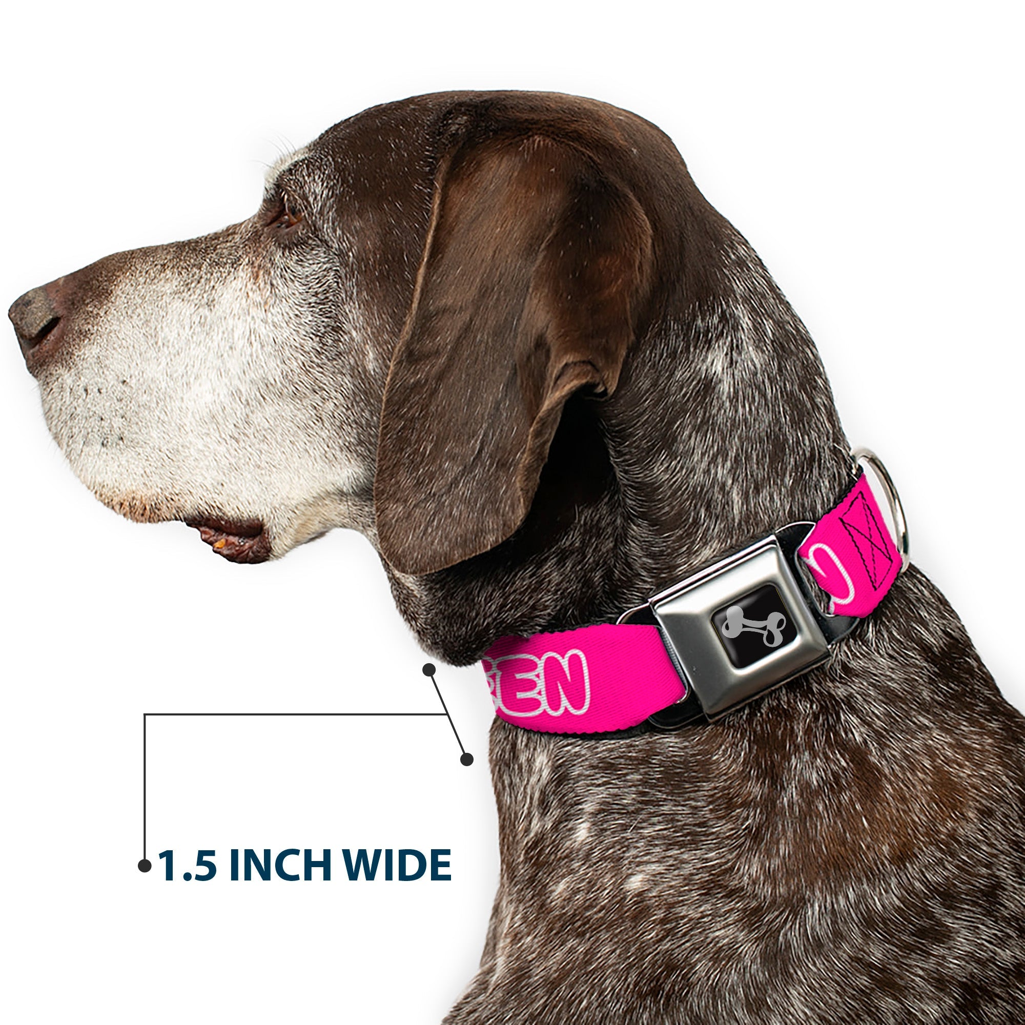 Buckle-Down Dog Bone Black/Silver Seatbelt Buckle Dog Collar - Slay Queen Bubble Text Pink/White